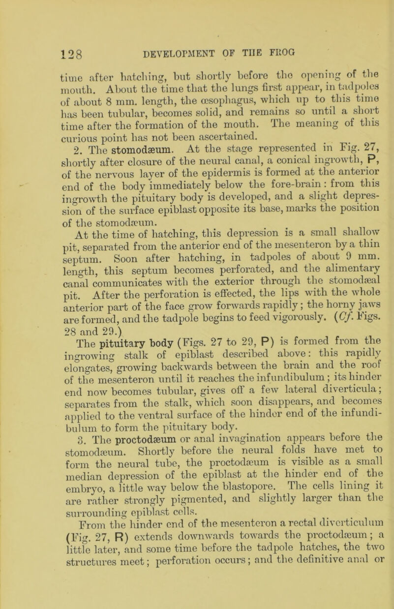 time after hatching, but shortly before the opening of the mouth. About the time that the lungs first appear, in tadpoles of about 8 mm. length, the oesophagus, which up to this time luis been tubular, becomes solid, and remains so until a short time after the formation of the mouth. Ihe meaning of this curious point has not been ascertained. 2. The stomodseum. At the stage represented in Fig. 27, shortly after closure of the neural canal, a conical ingrowth, p, of the nervous layer of the epidermis is formed at the anterior end of the body immediately below the fore-brain : from this ingrowth the pituitary body is developed, and a slight depres- sion of the surface epiblast opposite its base, marks the position of the stomodreum. At the time of hatching, this depression is a small shallow pit, separated from the anterior end of the mesenteron by a thin septum. Soon after hatching, in tadpoles of about 9 mm. length, this septum becomes perfoivated, and the alimentary canal communicates with the exterior through the stomodjeal pit. After the perforation is effected, the lips with the whole anterior part of the face grow forwards rapidly; the horny jaws are formed, and the tadpole begins to feed vigorously. {Cf. Figs. 28 and 29.) The pituitary body (Figs. 27 to 29, P) is formed from the ingrowing stalk of epiblast described above: this rapidly elongates, gi’owing backwards between the brain and the roof of the mesenteron until it reaches the infundibulum ; its hinder end now becomes tubular, gives off a few lateral diverticula, separates from the stalk, which soon disappears, and becomes applied to the ventral surface of the hinder end of the infundi- bulum to form the pituitary body. 3. The proctodaeum or anal invagination appears before the stomodajum. ShoiTly before the neural folds have met to form the neui’al tube, the proctodaeum is visible as a small median depression of the epiblast at the hinder end of the embryo, a little way below the blastopore. The cells lining it are rather strongly pigmented, and slightly larger than the surrounding epibl.ast cells. From the hinder end of the mesentei’on a rectal diverticulum (Fig. 27, R) extends downwards towards the pi'octodoeum; a littfe later, and some time before the tadpole hatches, the two structures meet; perforation occurs; and the definitive anal or