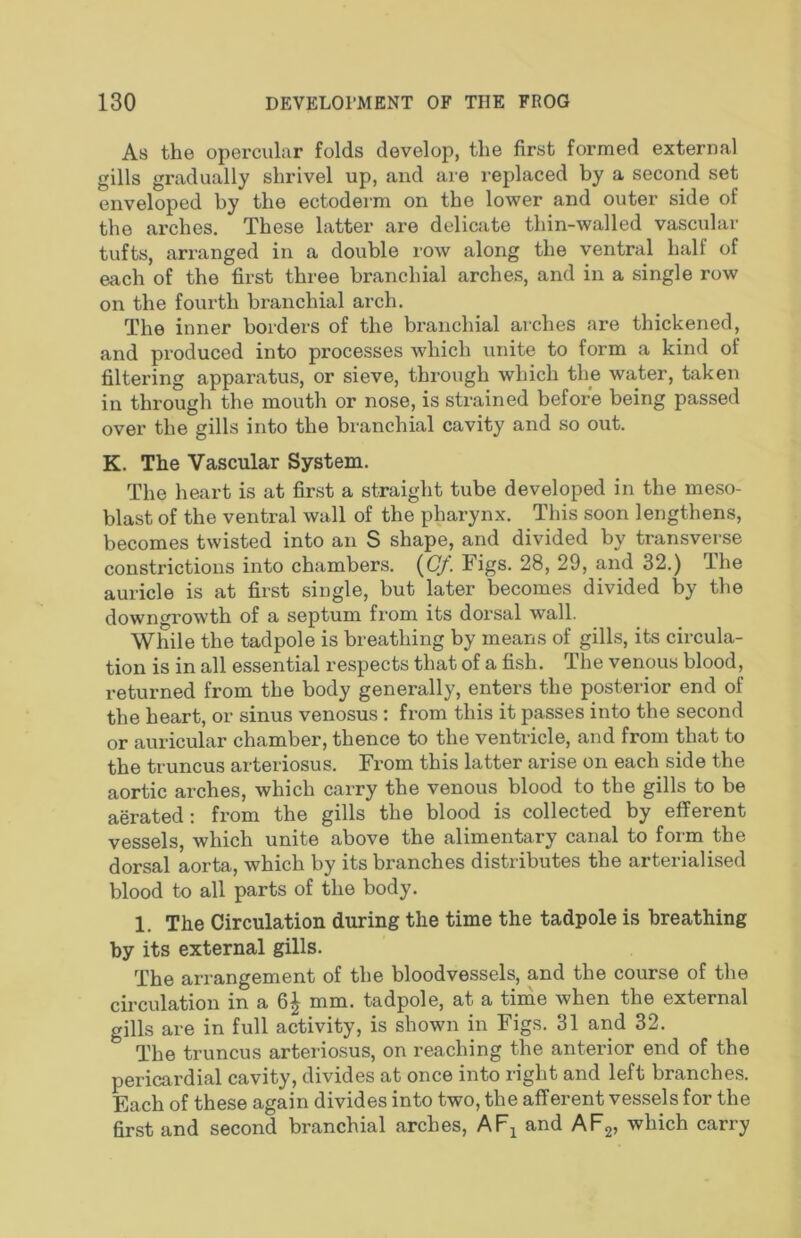 As the operculiir folds develop, the first formed external gills gradually shrivel up, and are replaced by a second set enveloped by the ectoderm on the lower and outer side of the arches. These latter are delicate thin-walled vascular tufts, arranged in a double row along the ventral half of each of the first three branchial arches, and in a single row on the fourth branchial arch. The inner borders of the branchial arches are thickened, and produced into processes which unite to form a kind of filtering apparatus, or sieve, through which the water, taken in through the mouth or nose, is strained before being passed over the gills into the bi’anchial cavity and so out. K. The Vascular System. The heart is at first a straight tube developed in the meso- blast of the ventral wall of the pharynx. This soon lengthens, becomes twisted into an S shape, and divided by transverse consti’ictions into chambers. i^Gj. l^ igs. 28, 29, and 32.) The auricle is at first single, but later becomes divided by the downgrowth of a septum from its dorsal wall. While the tadpole is breathing by means of gills, its circula- tion is in all essential respects that of a fish. The venous blood, returned from the body generally, enters the posterior end of the heart, or sinus venosus: from this it passes into the second or auricular chamber, thence to the ventricle, and from that to the truncus arteriosus. From this latter arise on each side the aortic arches, which carry the venous blood to the gills to be aerated i from the gills the blood is collected by efferent vessels, which unite above the alimentary canal to form the dorsal aorta, which by its branches distributes the arterialised blood to all parts of the body. 1. The Circulation during the time the tadpole is breathing by its external gills. The arrangement of the bloodvessels, and the course of the circulation in a 6| mm. tadpole, at a tinie when the external gills are in full activity, is shown in Figs. 31 and 32. The truncus arteriosus, on reaching the anterior end of the pericardial cavity, divides at once into right and left branches. Each of these again divides into two, the afferent vessels for the first and second branchial arches, AF^ and AF2, which carry