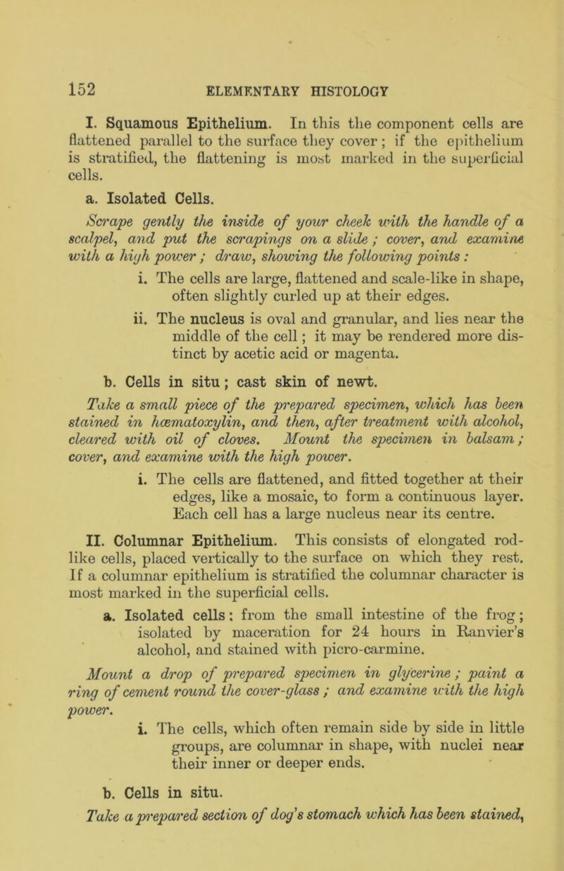 I. Squamous Epithelium. In this the component cells are flattened parallel to the surface they cover ; if the epithelium is stratified, the flattening is most mai-ked in the supei'ficial cells. a. Isolated Cells. Scrape gently the inside of your cheeJc with the handle of a scalpel, and put the scrapings on a slide ; cover, and examine with a high power ; draw, showing the following points: i. The cells are large, flattened and scale-like in shape, often slightly curled up at their edges. ii. The nucleus is oval and granular, and lies near the middle of the cell; it may be rendered more dis- tinct by acetic acid or magenta. b. Cells in situ; cast skin of newt. Take a small piece of the prepared specimen, which has been stained in hcematoxylin, and then, after treatment with alcohol, cleared with oil of cloves. Mount the specimen in balsam; cover, and examine with the high power. i. The cells are flattened, and fitted together at their edges, like a mosaic, to form a continuous layer. Each cell has a large nucleus near its centre. II. Columnar Epithelium. This consists of elongated rod- like cells, placed vertically to the surface on which they rest. If a columnar epithelium is stratified the columnar character is most marked in the superficial cells. a. Isolated cells: from the small intestine of the frog; isolated by maceration for 24 hours in Ranvier’s alcohol, and stained with picro-carmine. Mount a drop of prepared specimen in glycerine; paint a ring of cement round the cover-glass ; and examine with the high power. i. The cells, which often remain side by side in little groups, are columnar in shape, with nuclei near their inner or deeper ends. b. Cells in situ. Take a pi'epared section of dog's stomach which has been stained.