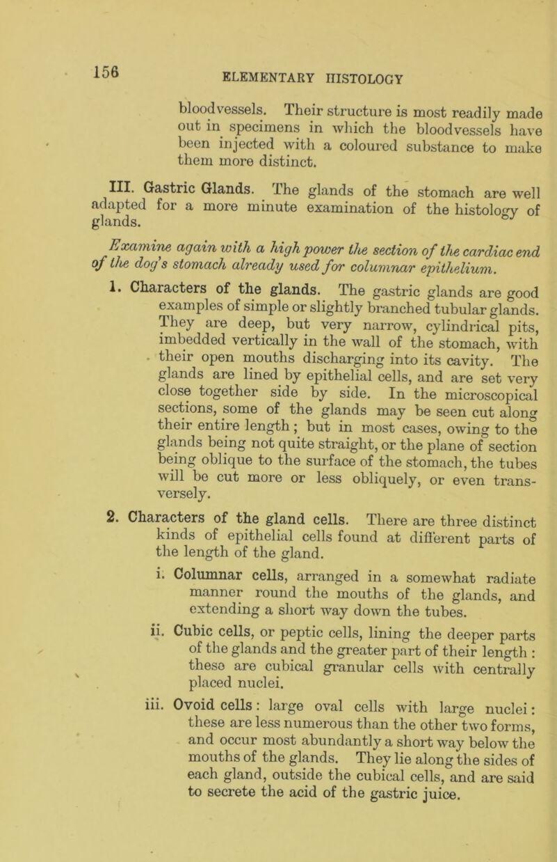 bloodvessels. Iheir structure is most readily made out in^ specimens in which the bloodvessels have been injected with a coloured substance to make them more distinct. Ill* Gastric Glands. The glands of the stomach are well adapted for a more minute examination of the histolo^Y of glands. Examir^ again with a high power the section of the cardiac end of the dog s stomach already used for columnar epithelium. 1. Characters of the glands. The gastric glands are good examples of simple or slightly branched tubular glands. They are deep, but very narrow, cylindrical pits, imbedded vertically in the wall of the stomach, with . their open mouths discharging into its cavity. The glands are lined by epithelial cells, and are set very close together side by side. In the microscopical sections, some of the glands may be seen cut along their entire length; but in most cases, owing to the glands being not quite straight, or the plane of section being oblique to the surface of the stomach, the tubes will bo cut more or less obliquely, or even trans- versely. 2. Characters of the gland cells. There are three distinct kinds of epithelial cells found at difierent parts of the length of the gland. i. Columnar cells, arranged in a somewhat radiate manner round the mouths of the glands, and extending a short way down the tubes. ii. Cubic cells, or peptic cells, lining the deeper parts of the glands and the greater part of their length : these are cubical granular cells with centrally placed nuclei. iii. Ovoid cells: large oval cells with large nuclei: these are less numerous than the other two forms, and occur most abundantly a short way below the mouths of the glands. They lie along the sides of each gland, outside the cubical cells, and are said to secrete the acid of the gastric juice.