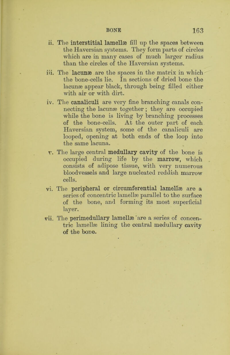 ii. The interstitial lamellae fill up the spaces between the Haversian systems. They form parts of circles which are in many cases of much larger radius than the circles of the Haversian systems. iii. The lacunae are the spaces in the matrix in which the bone-cells lie. In sections of dried bone the lacunae appear black, through being filled either with air or with dirt. iv. The canaliculi are very fine branching canals con- necting the lacunae together; they are occupied while the bone is living by branching processes of the bone-cells. At the outer part of each Haversian system, some of the canaliculi are looped, opening at both ends of the loop into the same lacuna. T’. The large central medullary cavity of the bone is occupied during life by the marrow, which consists of adipose tissue, with very numerous bloodvessels and large nucleated reddish marrow cells. vi. The peripheral or circumferential lamellae are a series of concentric lamellae parallel to the surface of the bone, and forming its most superficial layer. vii. The perimedullary lamellae 'are a series of concen- tric lamellae lining the central medullary cavity of the bone.