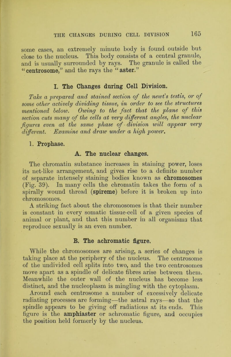 some cases, an extremely minute body is found outside but close to the nucleus. This body consists of a central granule, and is usually surrounded by rays. The granule is called the “centrosome,” and the rays the “aster.” I. The Changes during Cell Division. Take a prepared and stained section of the newt's testis, or of some other actively dividing tissue, in order to see the structures mentioned below. Owing to the fact that the plane of this section cuts many of the cells at very different angles, the nuclear figures even at the same phase of division will appear very different. Examine and draw under a high power. 1. Prophase. A. The nuclear changes. The chromatin substance increases in staining power, loses its net-like arrangement, and gives rise to a definite number of separate intensely staining bodies known as chromosomes (Fig. 39). In many cells the chromatin takes the form of a spirally wound thread (spireme) before it is broken up into chromosomes. A striking fact about the chromosomes is that their number is constant in every somatic tissue-cell of a given species of animal or plant, and that this number in all organisms that reproduce sexually is an even number. B. The achromatic figure. While the chromosomes are arising, a series of changes is taking place at the periphery of the nucleus. The centrosome of the undivided cell splits into two, and the two centrosomes move apart as a spindle of delicate fibres arise between them. Meanwhile the outer wall of the nucleus has become less distinct, and the nucleoplasm is mingling with the cytoplasm. Around each centrosome a number of excessively delicate radiating processes are forming—the astral rays—so that the spindle appears to be giving off radiations at its ends. This figure is the amphiaster or achromatic figure, and occupies the position held formerly by the nucleus.
