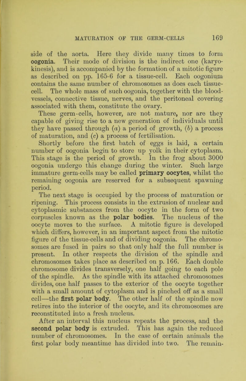 side of the aorta. Here they divide many times to form oogonia. Their mode of division is the indirect one (karyo- kinesis), and is accompanied by the formation of a mitotic figure as described on pp. 165-6 for a tissue-cell. Each oogonium contains the same number of chromosomes as does each tissue- cell. The whole mass of such oogonia, together with the blood- vessels, connective tissue, nerves, and the peritoneal covering associated with them, constitute the ovary. These germ-cells, however, are not mature, nor are they capable of giving rise to a new generation of individuals until they have passed through (a) a period of growth, (b) a process of maturation, and (c) a process of fertilisation. Shortly before the first batch of eggs is laid, a certain number of oogonia begin to store up yolk in their cytoplasm. This stage is the period of growth. In the frog about 3000 oogonia undergo this change during the winter. Such large immature germ-cells may be called primary oocytes, whilst the I'emaining oogonia are reserved for a subsequent spawning period. The next stage is occupied by the process of maturation or ripening. This process consists in the extrusion of nuclear and cytoplasmic substances from the oocyte in the form of two corpuscles known as the polar bodies. The nucleus of the oocyte moves to the surface. A mitotic figure is developed which difiers, however, in an important aspect from the mitotic figure of the tissue-cells and of dividing oogonia. The chromo- somes are fused in pairs so that only half the full number is present. In other respects the division of the spindle and chromosomes takes place as described on p. 166. Each double chromosome divides transversely, one half going to each pole of the spindle. As the spindle with its attached chromosomes divides, one half passes to the exterior of the oocyte together with a small amount of cytoplasm and is pinched off as a small cell—the first polar body. The other half of the spindle now retires into the interior of the oocyte, and its chromosomes are reconstituted into a fresh nucleus. After an interval this nucleus repeats the process, and the second polar body is extruded. This has again the reduced number of chromosomes. In the case of certain animals the first polar body meantime has divided into two. The remain-