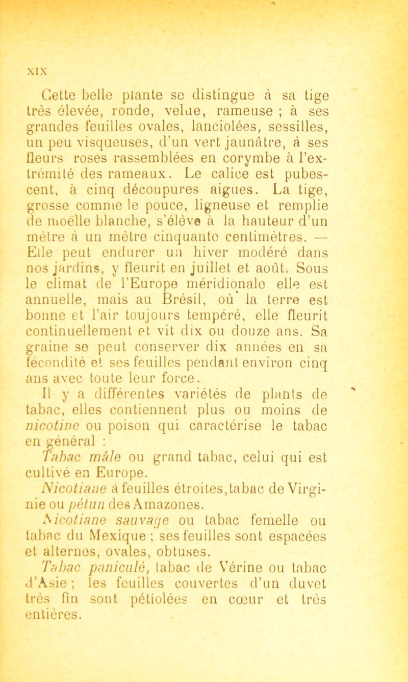 Gette belle plante se distingue à sa tige très élevée, ronde, velue, rameuse ; à ses grandes feuilles ovales, lanciolées, sessilles, un peu visqueuses, d’un vert jaunâtre, à ses fleurs roses rassemblées en corymbe à l’ex- trémité des rameaux. Le calice est pubes- cent, à cinq découpures aigues. La tige, grosse comme le pouce, ligneuse et remplie de moelle blanche, s’élève à la hauteur d’un mètre à un mètre cinquante centimètres. — Ede peut endurer un hiver modéré dans nos jardins, y fleurit en juillet et août. Sous le climat de l’Europe méridionale elle est annuelle, mais au Brésil, où’ la terre est bonne et l’air toujours tempéré, elle fleurit continuellement et vit dix ou douze ans. Sa graine se peut conserver dix années en sa fécondité et ses feuilles pendant environ cinq ans avec toute leur force. Il y a différentes variétés de plants de tabac, elles contiennent plus ou moins de nicotine ou poison qui caractérise le tabac en énéral : Tabac mâle ou grand tabac, celui qui est cultivé en Europe. Nicotiane a feuilles étroites,tabac de Virgi- nie ou pétun des Amazones. Aicotiane sauvage ou tabac femelle ou tabac du Mexique ; ses feuilles sont espacées et alternes, ovales, obtuses. Tabac paniculé, tabac de Vérine ou tabac d’Asie; les feuilles couvertes d’un duvet très fin sont pétiolées en cœur et très entières.