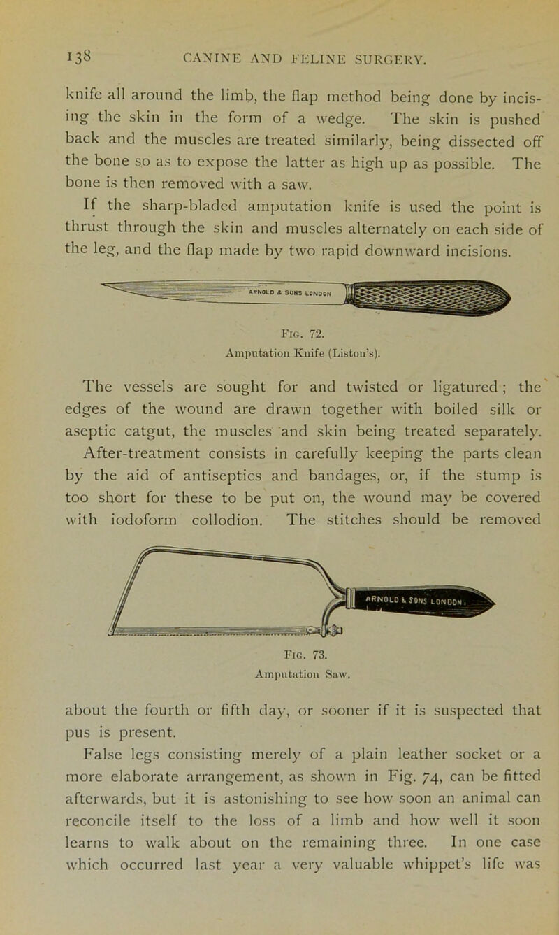 knife all around the limb, the flap method being done by incis- ing the skin in the form of a wedge. The skin is pushed back and the muscles are treated similarly, being dissected off the bone so as to expose the latter as high up as possible. The bone is then removed with a saw. If the sharp-bladed amputation knife is used the point is thrust through the skin and muscles alternately on each side of the leg, and the flap made by two rapid downward incisions. Fig. 72. Amputation Knife (Liston’s). The vessels are sought for and twisted or ligatured; the' edges of the wound are drawn together with boiled silk or aseptic catgut, the muscles and skin being treated separately. After-treatment consists in carefully keeping the parts clean by the aid of antiseptics and bandages, or, if the stump is too short for these to be put on, the wound may be covered with iodoform collodion. The stitches should be removed about the fourth or fifth day, or sooner if it is suspected that pus is present. False legs consisting merely of a plain leather socket or a more elaborate arrangement, as shown in Fig. 74, can be fitted afterwards, but it is astonishing to see how soon an animal can reconcile itself to the loss of a limb and how well it soon learns to walk about on the remaining three. In one case which occurred last year a very valuable whippet’s life was