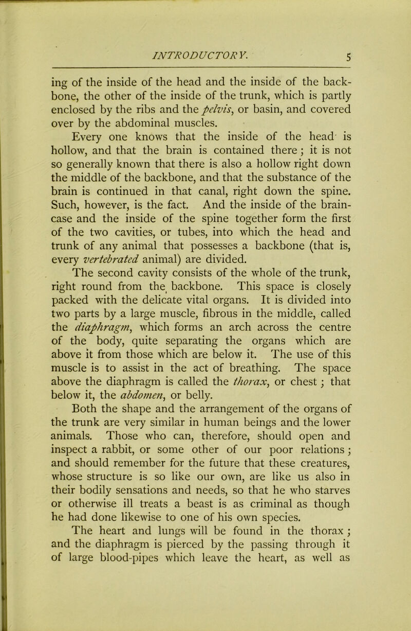 ing of the inside of the head and the inside of the back- bone, the other of the inside of the trunk, which is partly enclosed by the ribs and the pelvis^ or basin, and covered over by the abdominal muscles. Every one knows that the inside of the head is hollow, and that the brain is contained there; it is not so generally known that there is also a hollow right down the middle of the backbone, and that the substance of the brain is continued in that canal, right down the spine. Such, however, is the fact. And the inside of the brain- case and the inside of the spine together form the first of the two cavities, or tubes, into which the head and trunk of any animal that possesses a backbone (that is, every vertehrated animal) are divided. The second cavity consists of the whole of the trunk, right round from the^ backbone. This space is closely packed with the delicate vital organs. It is divided into two parts by a large muscle, fibrous in the middle, called the diaphragm^ which forms an arch across the centre of the body, quite separating the organs which are above it from those which are below it. The use of this muscle is to assist in the act of breathing. The space above the diaphragm is called the thorax^ or chest; that below it, the ahdomeit^ or belly. Both the shape and the arrangement of the organs of the trunk are very similar in human beings and the lower animals. Those who can, therefore, should open and inspect a rabbit, or some other of our poor relations; and should remember for the future that these creatures, whose structure is so like our own, are like us also in their bodily sensations and needs, so that he who starves or otherwise ill treats a beast is as criminal as though he had done likewise to one of his own species. The heart and lungs will be found in the thorax ; and the diaphragm is pierced by the passing through it of large blood-pipes which leave the heart, as well as
