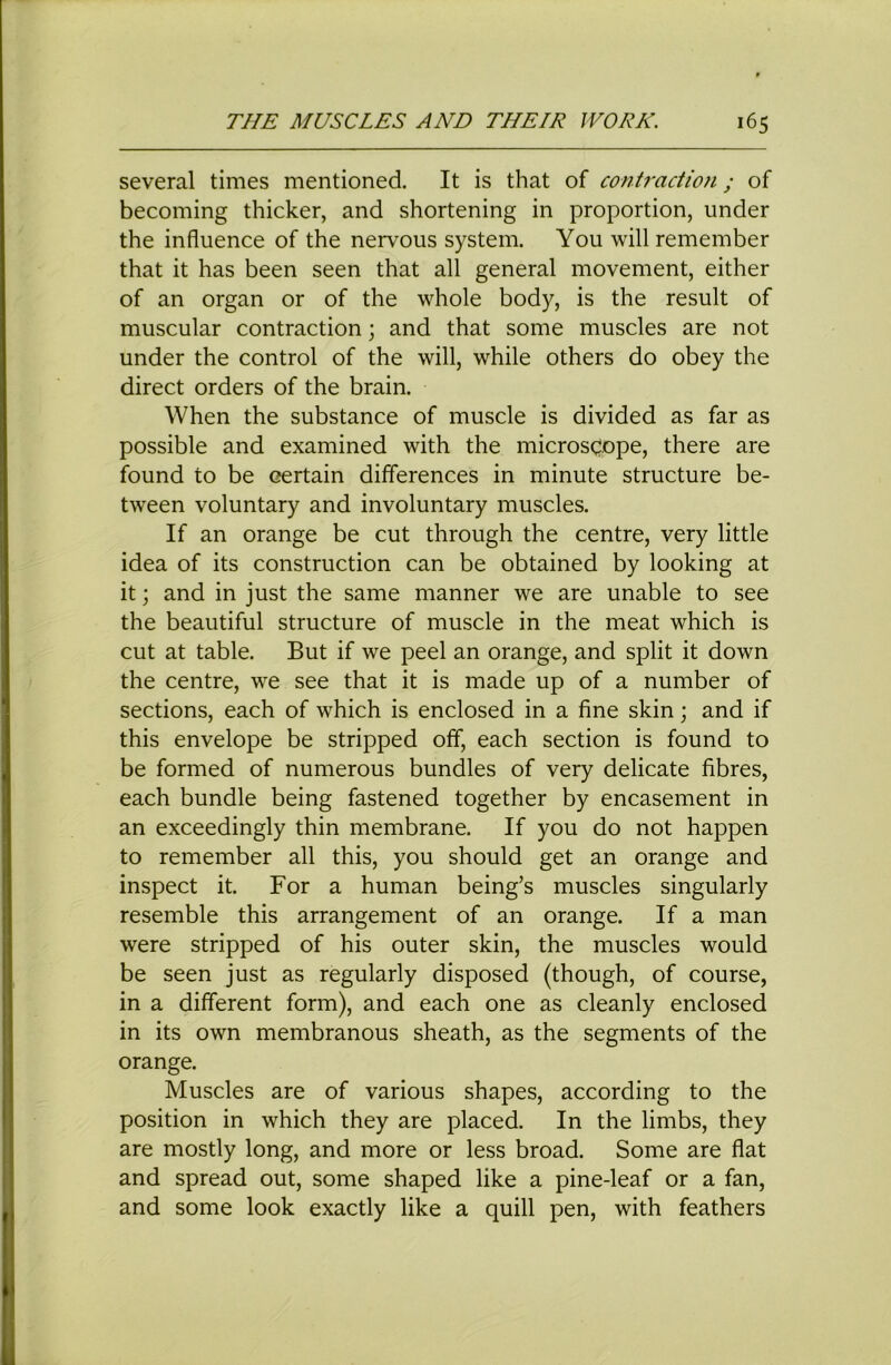 several times mentioned. It is that of contraction; of becoming thicker, and shortening in proportion, under the influence of the nervous system. You will remember that it has been seen that all general movement, either of an organ or of the whole body, is the result of muscular contraction; and that some muscles are not under the control of the will, while others do obey the direct orders of the brain. When the substance of muscle is divided as far as possible and examined with the microscope, there are found to be certain differences in minute structure be- tween voluntary and involuntary muscles. If an orange be cut through the centre, very little idea of its construction can be obtained by looking at it; and in just the same manner we are unable to see the beautiful structure of muscle in the meat which is cut at table. But if we peel an orange, and split it down the centre, we see that it is made up of a number of sections, each of which is enclosed in a fine skin; and if this envelope be stripped off, each section is found to be formed of numerous bundles of very delicate fibres, each bundle being fastened together by encasement in an exceedingly thin membrane. If you do not happen to remember all this, you should get an orange and inspect it. For a human being’s muscles singularly resemble this arrangement of an orange. If a man were stripped of his outer skin, the muscles would be seen just as regularly disposed (though, of course, in a different form), and each one as cleanly enclosed in its own membranous sheath, as the segments of the orange. Muscles are of various shapes, according to the position in which they are placed. In the limbs, they are mostly long, and more or less broad. Some are flat and spread out, some shaped like a pine-leaf or a fan, and some look exactly like a quill pen, with feathers