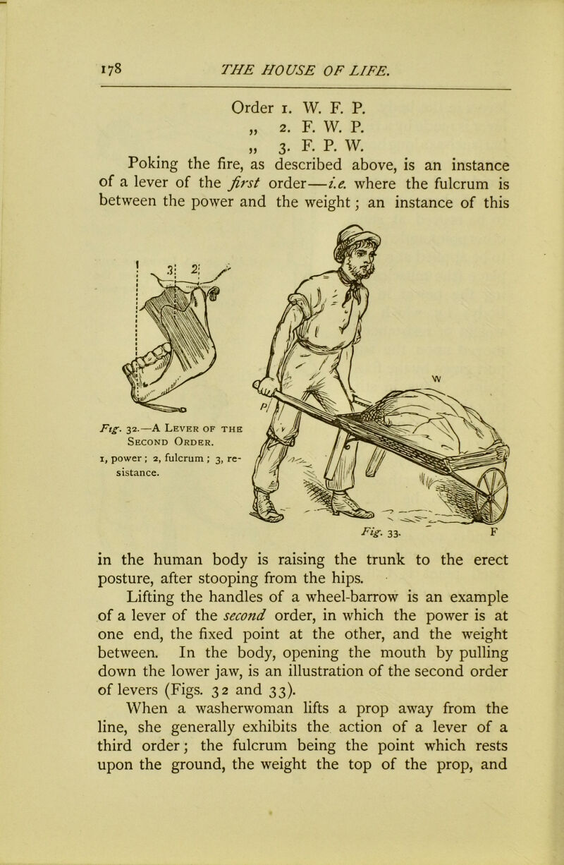 Order i. W. F. P. „ 2. F. W. P. » 3- F. P. W. Poking the fire, as described above, is an instance of a lever of the fij'st order—i.e. where the fulcrum is between the power and the weight; an instance of this in the human body is raising the trunk to the erect posture, after stooping from the hips. Lifting the handles of a wheel-barrow is an example of a lever of the second order, in which the power is at one end, the fixed point at the other, and the weight between. In the body, opening the mouth by pulling down the lower jaw, is an illustration of the second order of levers (Figs. 32 and 33). When a washerwoman lifts a prop away from the line, she generally exhibits the action of a lever of a third order; the fulcrum being the point which rests upon the ground, the weight the top of the prop, and