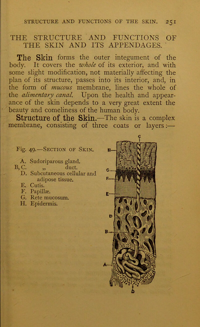 THE STRUCTURE AND FUNCTIONS OF THE SKIN AND ITS APPENDAGES. ' The Skin forms the outer integument of the body. It covers the whole of its exterior, and with some slight modification, not materially affecting the plan of its structure, passes into its interior, and, in the form of mucous membrane, lines the whole of the alimentary canal. Upon the health and appear- ance of the skin depends to a very great extent the beauty and comeliness of the human body. Structure of the Skin.—The skin is a complex membrane, consisting of three coats or layers:— Fig. 49.—Section of Skin. A. Sudoriparous gland. B, C. „ duct. D. Subcutaneous cellular and adipose tissue. E. Cutis. F. Papillae. G. Rete mucosum. H. Epidermis.