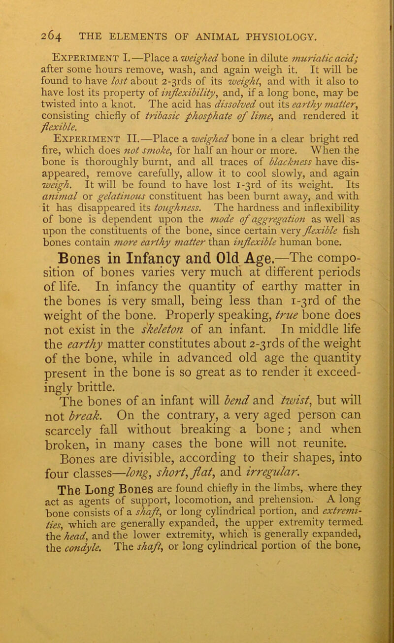 Experiment I.—Place 21. weighed hono. in dilute muriatic acid; after some hours remove, wash, and again weigh it. It will be found to have lost about 2-3rds of its weight, and with it also to have lost its property of mjiexibility, and, if a long bone, may be twisted into a knot. The acid has dissolved out its earthy matter, consisting chiefly of tribasic phosphate of lime, and rendered it flexible. Experiment II.—Place a weighed haws, in a clear bright red fire, which does not smoke, for half an hour or more. When the bone is thoroughly burnt, and all traces of blackness have dis- appeared, remove carefully, allow it to cool slowly, and again weigh. It will be found to have lost i-3rd of its weight. Its animal or gelatinous constituent has been burnt away, and with it has disappeared its toughness. The hardness and inflexibihty of bone is dependent upon the mode of aggregation as well as upon the constituents of the bone, since certain very flexible fish bones contain tnore earthy matter than inflexible human bone. Bones in Infancy and Old Age.—The compo- sition of bones varies very much at different periods of life. In infancy the quantity of earthy matter in the bones is very small, being less than i-3rd of the weight of the bone. Properly speaking, true bone does not exist in the skeleton of an infant. In middle life the earthy matter constitutes about 2-3rds of the weight of the bone, while in advanced old age the quantity present in the bone is so great as to render it exceed- ingly brittle. The bones of an infant will bend and twist, but will not break. On the contrary, a very aged person can scarcely fall without breaking a bone; and when broken, in many cases the bone will not reunite. Bones are divisible, according to their shapes, into four classes—long, short, flat, and irregular. The Long Bones are found chiefly in the limbs, where they act as agents of support, locomotion, and prehension. A long bone consists of a shaft, or long cylindrical portion, and extremi- ties, which are generally expanded, the upper extremity termed \kilhead, and the lower extremity, which is generally expanded, the condyle. The shaft, or long cylindrical portion of the bone,