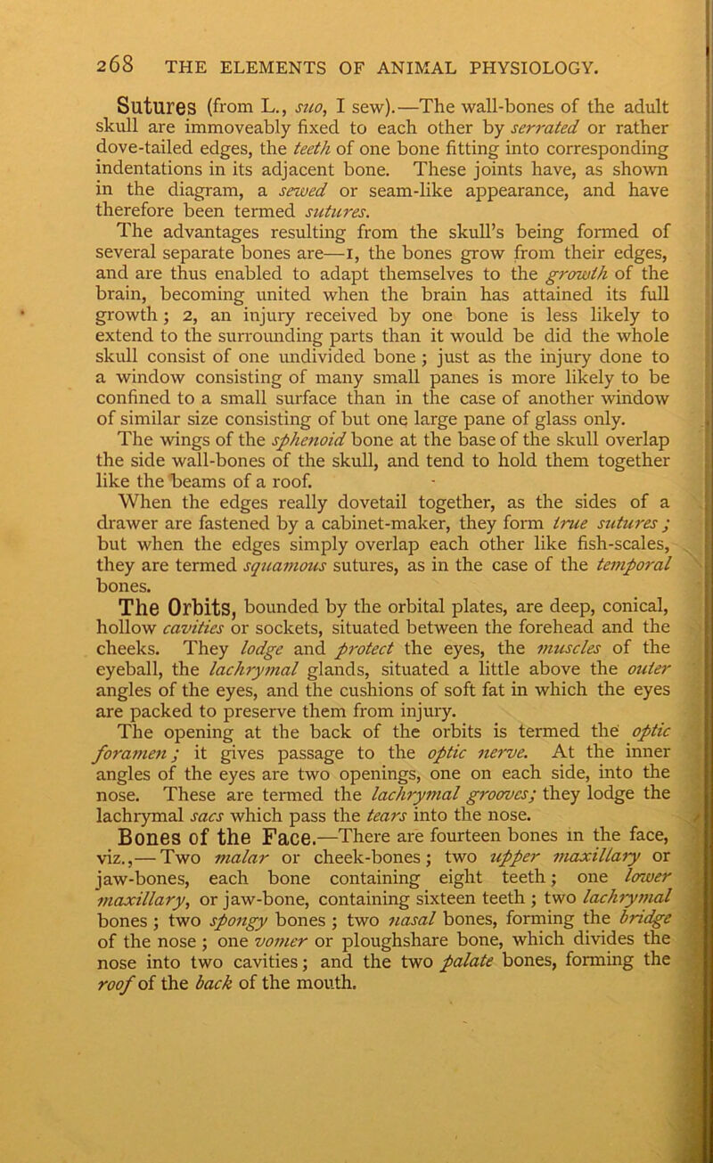 Sutures (from L., stio, I sew).—The wall-bones of the adult skull are immoveably fixed to each other by seri-ated or rather dove-tailed edges, the teeth of one bone fitting into corresponding indentations in its adjacent bone. These joints have, as shown in the diagram, a sewed or seam-like appearance, and have therefore been termed sutures. The advantages resulting from the skull’s being fonried of several separate bones are—i, the bones grow from their edges, and are thus enabled to adapt themselves to the growth of the brain, becoming united when the brain has attained its full growth ; 2, an injury received by one bone is less likely to extend to the surrounding parts than it would be did the whole skull consist of one undivided bone ; just as the injury done to a window consisting of many small panes is more likely to be confined to a small surface than in the case of another window of similar size consisting of but one large pane of glass only. The wings of the sphenoid bone at the base of the skull overlap the side wall-bones of the skull, and tend to hold them together like the Ijeams of a roof. When the edges really dovetail together, as the sides of a drawer are fastened by a cabinet-maker, they form true sutures ; but when the edges simply overlap each other like fish-scales, they are termed squamous sutures, as in the case of the temporal bones. The Orbits, bounded by the orbital plates, are deep, conical, hollow cavities or sockets, situated between the forehead and the cheeks. They lodge and protect the eyes, the muscles of the eyeball, the lachrymal glands, situated a little above the outer angles of the eyes, and the cushions of soft fat in which the eyes are packed to preserve them from injuiy. The opening at the back of the orbits is termed the optic foramen; it gives passage to the optic nerve. At the inner angles of the eyes are two openings, one on each side, into the nose. These are termed the lachryjtial grooves; they lodge the lachrymal sacs which pass the tears into the nose. Bones of the Face.—There are fourteen bones in the face, viz.,— Two malar or cheek-bones; two upper maxillary or jaw-bones, each bone containing eight teeth; one lower maxillary, or jaw-bone, containing sixteen teeth ; two lachrymal bones ; two spongy bones ; two tiasal bones, forming the bridge of the nose ; one vomer or ploughshare bone, which divides the nose into two cavities; and the two palate bones, forming the roofoi the back of the mouth.