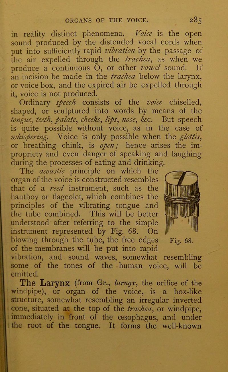 in reality distinct phenomena. Voice is the open sound produced by the distended vocal cords when put into sufficiently rapid vibration by the passage of the air expelled through the tj'achea, as when we produce a continuous O, or other vowel sound. If an incision be made in the trachea below the larynx, or voice-box, and the expired air be expelled through it, voice is not produced. Ordinary speech consists of the voice chiselled, shaped, or sculptured into words by means of the tongue, teeth, palate, cheeks, lips, nose, &c. But speech is quite possible without voice, as in the case of whispering. Voice is only possible when the glottis, or breathing chink, is open; hence arises the im- propriety and even danger of speaking and laughing during the processes of eating and drinking. The acoustic principle on which the organ of the voice is constructed resembles that of a reed instrument, such as the hautboy or flageolet, which combines the principles of the vibrating tongue and the tube combined. This will be better understood after referring to the simple instrument represented by Fig. 68. On blowing through the tqbe, the free edges Fig. 68, of the membranes will be put into rapid vibration, and sound waves, somewhat resembling some of the tones of the human voice, will be emitted. The Larynx (from Gr., larugx, the orifice of the windpipe), or organ of the voice, is a box-like structure, somewhat resembling an irregular inverted cone, situated at the top of the trachea, or windpipe, immediately in front of the oesophagus, and under the root of the tongue. It forms the well-known