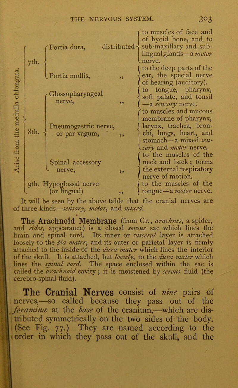 rt tn c o 2 o s o * <u tn *c 7th. ■ Portia dura, distributed . Portia mollis, 8th. Glossopharyngeal nerve, Pneumogastric nerve, or par vagum, Spinal accessory nerve. 9th. Hypoglossal nerve (or lingual) to muscles of face and of hyoid bone, and to sub-maxillary and sub- lingijalglands—a motor nerve. ito the deep parts of the ear, the special nerve of hearing (auditory). ito tongue, pharynx, soft palate, and tonsil —a sensory nerve, to muscles and mucous membrane of pharynx, larynx, trachea, bron- chi, lungs, heart, and stomach—a mixed sen- sory and motor nerve, to the muscles of the neck and back; forms the external respiratory nerve of motion, to the muscles of the tongue—a motor nerve. It will be seen by the above table that the cranial nerves are of three kinds—sensory, motor, and mixed. The Arachnoid Membrane (from Gr., arachnes, a spider, and eidos, appearance) is a closed serous sac which lines the brain and spinal cord. Its inner or visceral layer is attached loosely to the pia mater, and its outer or parietal layer is frrmly attached to the inside of the dura mater which lines the interior of the skull. It is attached, but loosely, to the dura mater which lines the spinal cord. The space enclosed within the sac is called the arachnoid cavity ; it is moistened by serous fluid (the cerebro-spinal fluid). The Cranial Nerves consist of nme pairs of nerves,—so called because they pass out of the foramina at the base of the cranium,—which are dis- tributed symmetrically on the two sides of the body. (See Fig. 77.) They are named according to the i order in which they pass out of the skull, and the