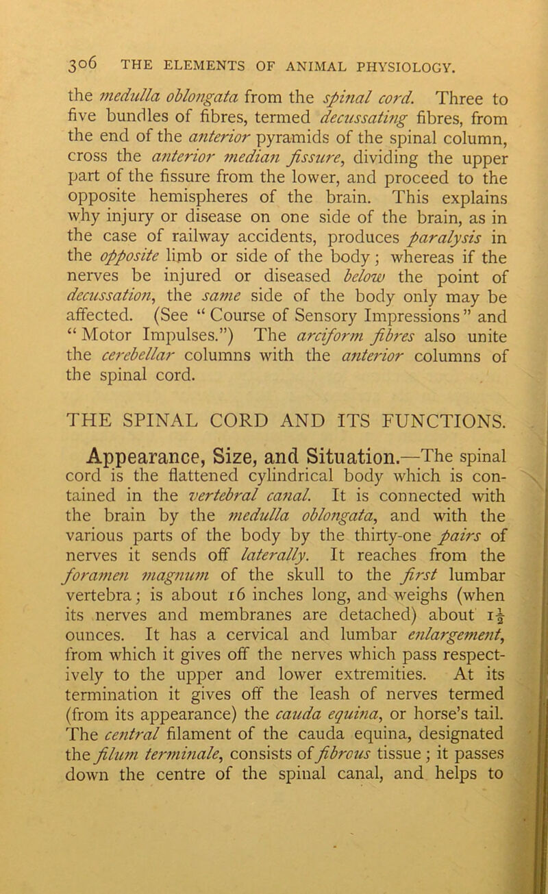the medulla oblongata from the spinal cord. Three to five bundles of fibres, termed decussatmg fibres, from the end of the anterior pyramids of the spinal column, cross the anterior median fissure.^ dividing the upper part of the fissure from the lower, and proceed to the opposite hemispheres of the brain. This explains why injury or disease on one side of the brain, as in the case of railway accidents, produces paralysis in the opposite limb or side of the body; whereas if the nerves be injured or diseased below the point of decussation, the same side of the body only may be affected. (See “ Course of Sensory Impressions ” and “ Motor Impulses.”) The arciform fibres also unite the cerebellar columns with the anterior columns of the spinal cord. THE SPINAL CORD AND ITS FUNCTIONS. Appearance, Size, and Situation.—The spinal cord is the flattened cylindrical body which is con- tained in the vertebral canal. It is connected with the brain by the medidla oblongata, and with the various parts of the body by the thirty-one pairs of nerves it sends off laterally. It reaches from the foramen magnum of the skull to the fib'st lumbar vertebra; is about x6 inches long, and v'-eighs (when its nerves and membranes are detached) about if ounces. It has a cervical and lumbar enlargement, from which it gives off the nerves which pass respect- ively to the upper and lower extremities. At its termination it gives off the leash of nerves termed (from its appearance) the cauda equina, or horse’s tail. The central filament of the cauda equina, designated the filum terminale, consists of fibrous tissue; it passes down the centre of the spinal canal, and helps to \