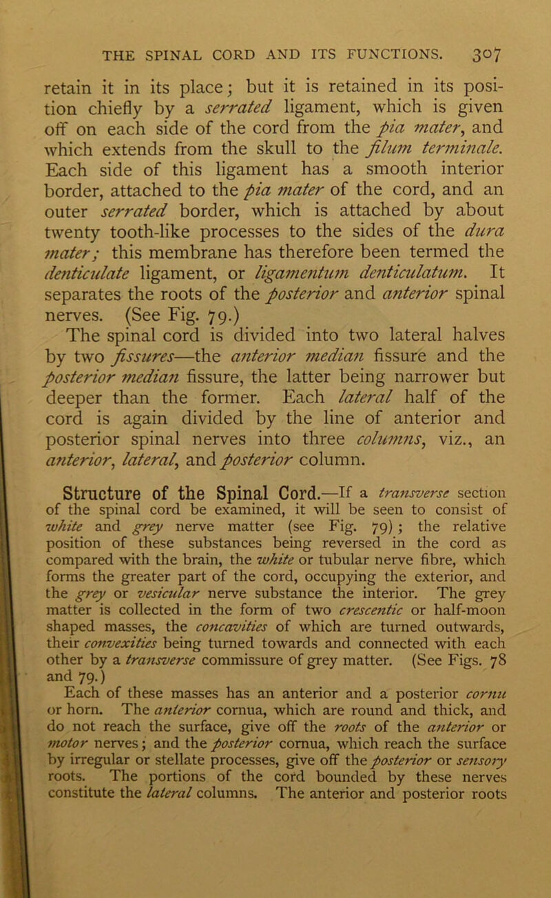 retain it in its place; but it is retained in its posi- tion chiefly by a serrated ligament, which is given ofif on each side of the cord from the pia viater^ and which extends from the skull to the filum terminale. Each side of this ligament has a smooth interior border, attached to the pia mater of the cord, and an outer serrated border, which is attached by about twenty tooth-like processes to the sides of the dura mater; this membrane has therefore been termed the denticidate ligament, or ligamentu?n denticulatum. It separates the roots of the posterior and anterior spinal nerves. (See Fig. 79.) The spinal cord is divided into two lateral halves by two fissures—the anterior median fissure and the posterior median fissure, the latter being narrower but deeper than the former. Each lateral half of the cord is again divided by the line of anterior and posterior spinal nerves into three columns, viz., an anterior, lateral, and posterior column. Structure of the Spinal Cord.—If a transverse section of the spinal cord be examined, it will be seen to consist of ■white and grey nerve matter (see Fig. 79) ; the relative position of these substances being reversed in the cord as compared with the brain, the white or tubular nerve fibre, which forms the greater part of the cord, occupying the exterior, and the grey or vesiciilar nerve substance the interior. The grey matter is collected in the form of two crescentic or half-moon shaped masses, the concavities of which are turned outwards, their convexities being turned towards and connected with each other by a tratisverse commissure of grey matter. (See Figs. 78 and 79.) Each of these masses has an anterior and a posterior cornu or horn. The anterior cornua, which are round and thick, and do not reach the surface, give off the roots of the anterior or motor nerves; and the posterior cornua, which reach the surface by irregular or stellate processes, give off the posterior or sensoiy roots. The portions of the cord bounded by these nerves constitute the lateral columns. The anterior and posterior roots