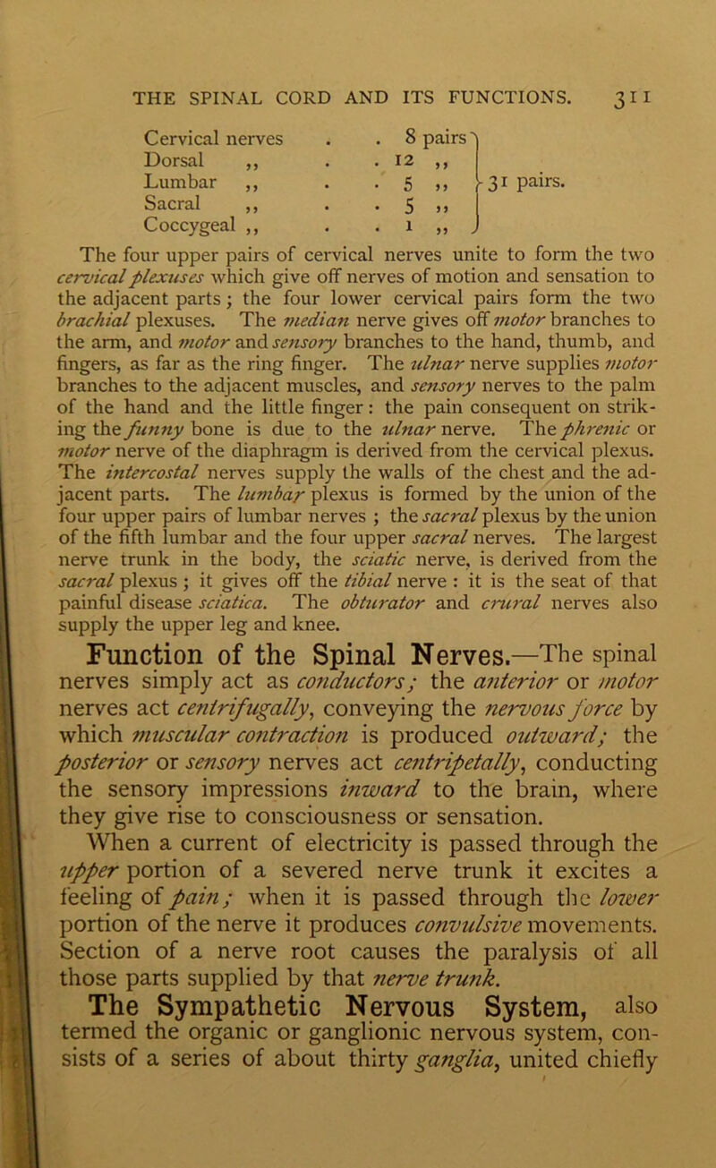 Cervical nerves Dorsal ,, Lumbar ,, Sacral ,, Coccygeal ,, 8 pairs' 12 „ 5 M 5 - 31 pairs. 1 J9 J The four upper pairs of cervical nerves unite to form the two cervical plexuses which give off nerves of motion and sensation to the adjacent parts; the four lower cervical pairs form the two brachial plexuses. The median nerve gives off motor branches to the arm, and motor •axs^ sensory branches to the hand, thumb, and fingers, as far as the ring finger. The tdnar nerve supplies motor branches to the adjacent muscles, and sensory nerves to the palm of the hand and the little finger: the pain consequent on strik- ing the funny bone is due to the iilnar nerve. The phrenic or motor nerve of the diaphragm is derived from the ceiwical plexus. The intercostal nerves supply the walls of the chest and the ad- jacent parts. The lumbar plexus is formed by the union of the four upper pairs of lumbar nerves ; the sacral plexus by the union of the fifth lumbar and the four upper sacral nerves. The largest nerve trunk in the body, the sciatic nerve, is derived from the sacral plexus ; it gives off the tibial nerve : it is the seat of that painful disease sciatica. The obturator and cncral nerves also supply the upper leg and knee. Function of the Spinal Nerves.—The spinal nerves simply act as cotidudors; the atiterior or motor nerves act cenirifugally, conveying the nervous force by which muscular contraction is produced outward; the posterior or sensory nerves act cetitripetallyconducting the sensory impressions inward to the brain, where they give rise to consciousness or sensation. When a current of electricity is passed through the upper portion of a severed nerve trunk it excites a I’eeling of pain; when it is passed through the lo7ver portion of the nerve it produces cojivulsive movements. Section of a nerve root causes the paralysis of all those parts supplied by that nerve trunk. The Sympathetic Nervous System, also termed the organic or ganglionic nervous system, con- sists of a series of about thirty ganglia^ united chiefly