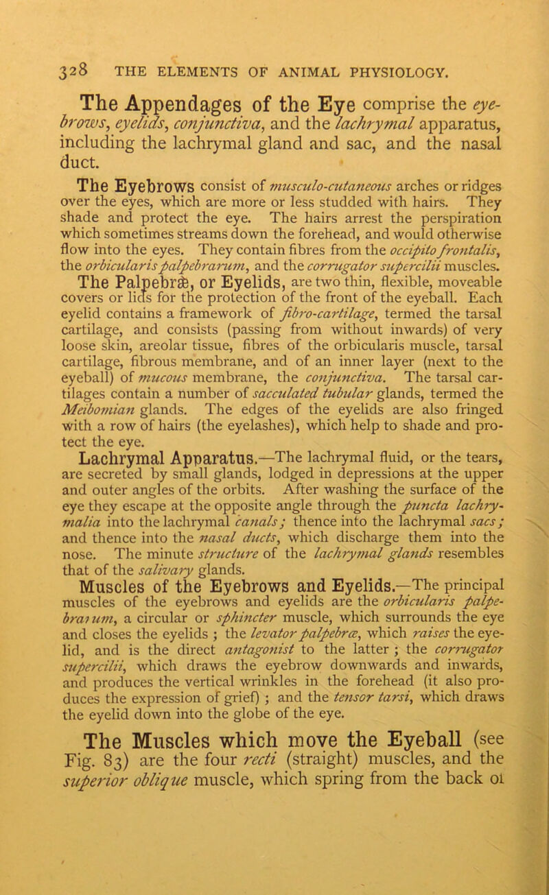 The Appendages of the Eye comprise the eye- brows, eyelids, conjunctiva, and the lachrymal apparatus, including the lachrymal gland and sac, and the nasal duct. The Eyebrows consist of musculo-cutaneous arches or ridges over the eyes, which are more or less studded with hairs. They shade and protect the eye. The hairs arrest the perspiration which sometimes streams down the forehead, and would otherwise flow into the eyes. They contain fibres from the occipito frontalis, the orbicularis palpebrarum, and the cornigator supercilii muscles. The Palpebr^, or Eyelids, are two thin, flexible, moveable covers or lids for the protection of the front of the eyeball. Each eyelid contains a framework of fibro-cartilage, termed the tarsal cartilage, and consists (passing from without inwards) of very loose skin, areolar tissue, fibres of the orbicularis muscle, tarsal cartilage, fibrous membrane, and of an inner layer (next to the eyeball) of mucous membrane, the conjunctiva. The tarsal car- tilages contain a number of sacculated tubular glands, termed the Meibofnian glands. The edges of the eyelids are also fringed with a row of hairs (the eyelashes), which help to shade and pro- tect the eye. Lachrymal Apparatus.—The lachrymal fluid, or the tears, are secreted by small glands, lodged in depressions at the upper and outer angles of the orbits. After washing the surface of the eye they escape at the opposite angle through the puncta lachry- malia into the lachrymal canals; thence into the lachrymal sacs; and thence into the nasal ducts, which discharge them into the nose. The minute structure of the lachrymal glands resembles that of the salivaiy glands. Muscles of the Eyebrows and Eyelids.—The principal muscles of the eyebrows and eyelids are the orbicularis palpe- braitim, a circular or sphincter muscle, which surrounds the eye and closes the eyelids ; the levatorpalpebra, which raises the eye- lid, and is the direct antagonist to the latter ; the corrugator supercilii, which draws the eyebrow downwards and inwards, and produces the vertical wrinkles in the forehead (it also pro- duces the expression of grief) ; and the tensor tarsi, which draws the eyelid down into the globe of the eye. The Muscles which move the Eyeball (see Fig. 83) are the four recti (straight) muscles, and the superior oblique muscle, which spring from the back oi