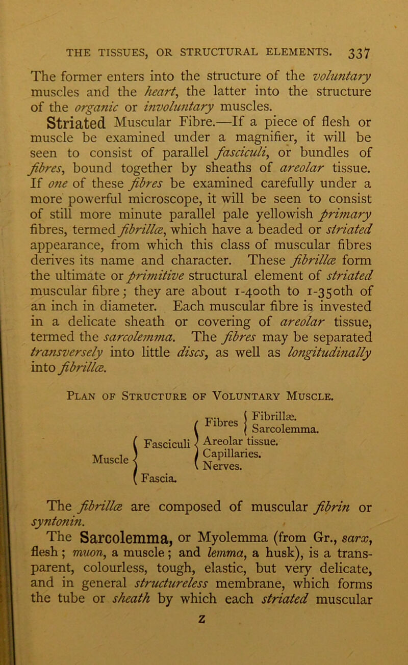 The former enters into the structure of the voluntary muscles and the heart, the latter into the structure of the organic or involuntary muscles. Striated Muscular Fibre.—If a piece of flesh or muscle be examined under a magnifier, it will be seen to consist of parallel fasciculi, or bundles of fibres, bound together by sheaths of areolar tissue. If one of these fibres be examined carefully under a more powerful microscope, it will be seen to consist of still more minute parallel pale yellowish primary fibres, termed fibrillce, which have a beaded or striated appearance, from which this class of muscular fibres derives its name and character. These fibrillce form the ultimate or primitive structural element of striated muscular fibre j they are about i-4ooth to i-35oth of an inch in diameter. Each muscular fibre is invested in a delicate sheath or covering of areolar tissue, termed the sarcolemma. The fibres may be separated transversely into little discs, as well as longitudinally into fibrillce. Plan of Structure of Voluntary Muscle. Fibres Muscle Fasciculi Fascia. Fibrillae, Sarcolemma. Areolar tissue. Capillaries. Nerves. The fibrillce are composed of muscular fibrin or syntonin. The Sarcolemma, or Myolemma (from Gr., sarx, flesh; muon, a muscle; and lemma, a husk), is a trans- parent, colourless, tough, elastic, but very delicate, and in general structureless membrane, which forms the tube or sheath by which each striated muscular z