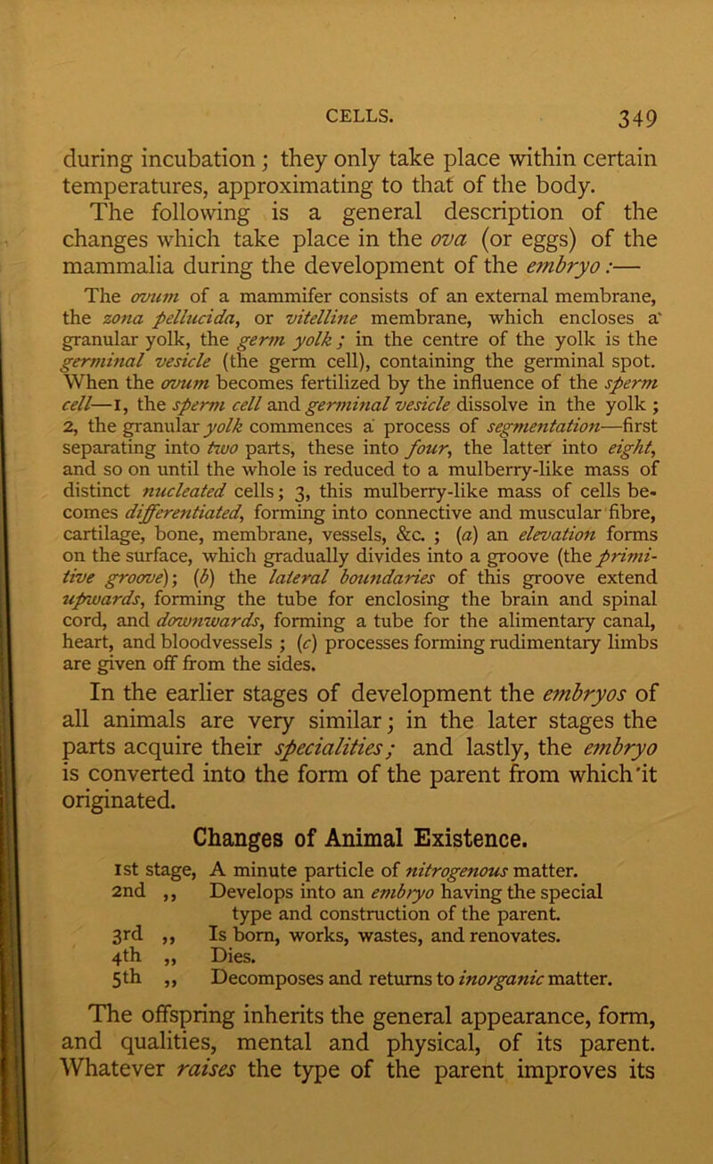during incubation; they only take place within certain temperatures, approximating to that of the body. The following is a general description of the changes which take place in the ova (or eggs) of the mammalia during the development of the embryo:— The omim of a mammifer consists of an external membrane, the zona pellucida, or vitelline membrane, which encloses a' granular yolk, the germ yolk ; in the centre of the yolk is the germinal vesicle (the germ cell), containing the germinal spot. When the orvum becomes fertilized by the influence of the sperm cell—I, the sperm cell germinal vesicle dissolve in the yolk ; 2, the granular commences a process of segmentation—first separating into two parts, these into four the latter into eight, and so on until the whole is reduced to a mulberry-like mass of distinct nucleated cells; 3, this mulberry-like mass of cells be- comes differentiated, forming into connective and muscular fibre, cartilage, bone, membrane, vessels, &c. ; [a) an elevation forms on the surface, which gradually divides into a groove (the primi- tive groove)-, {b) the lateral boundaries of this groove extend upwards, forming the tube for enclosing the brain and spinal cord, and downwards, forming a tube for the alimentary canal, heart, and bloodvessels ; (r) processes forming rudimentary limbs are given off from the sides. In the earlier stages of development the embryos of all animals are very similar; in the later stages the parts acquire their specialities; and lastly, the embryo is converted into the form of the parent from which'it originated. Changes of Animal Existence. 1st stage, A minute particle of nitrogenous matter. 2nd ,, Develops into an embryo having the special type and construction of the parent. 3rd ,, Is bom, works, wastes, and renovates. 4 th ,, Dies. 5th ,, Decomposes and returns to matter. The offspring inherits the general appearance, form, and qualities, mental and physical, of its parent. Whatever raises the type of the parent improves its