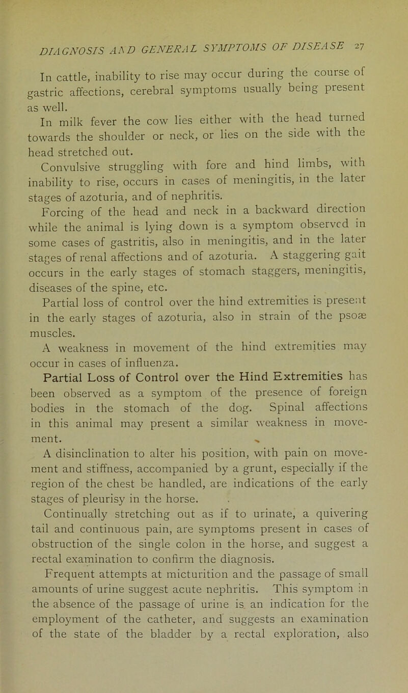 In cattle, inability to rise may occur during the course of gastric affections, cerebral symptoms usually being present as well. In milk fever the cow lies either with the head turned towards the shoulder or neck, or lies on the side with the head stretched out. Convulsive struggling with fore and hind limbs, with inability to rise, occurs in cases of meningitis, in the later stages of azoturia, and of nephritis. Forcing of the head and neck in a backward direction while the animal is lying down is a symptom observed in some cases of gastritis, also in meningitis, and in the later stages of renal affections and of azoturia. A staggering gait occurs in the early stages of stomach staggers, meningitis, diseases of the spine, etc. Partial loss of control over the hind extremities is present in the early stages of azoturia, also in strain of the psoae muscles. A weakness in movement of the hind extremities may occur in cases of influenza. Partial Loss of Control over the Hind Extremities has been observed as a symptom of the presence of foreign bodies in the stomach of the dog. Spinal affections in this animal may present a similar weakness in move- ment. A disinclination to alter his position, with pain on move- ment and stiffness, accompanied by a grunt, especially if the region of the chest be handled, are indications of the early stages of pleurisy in the horse. Continually stretching out as if to urinate, a quivering tail and continuous pain, are symptoms present in cases of obstruction of the single colon in the horse, and suggest a rectal examination to confirm the diagnosis. Frequent attempts at micturition and the passage of small amounts of urine suggest acute nephritis. This symptom :n the absence of the passage of urine is an indication for the employment of the catheter, and suggests an examination of the state of the bladder by a rectal exploration, also