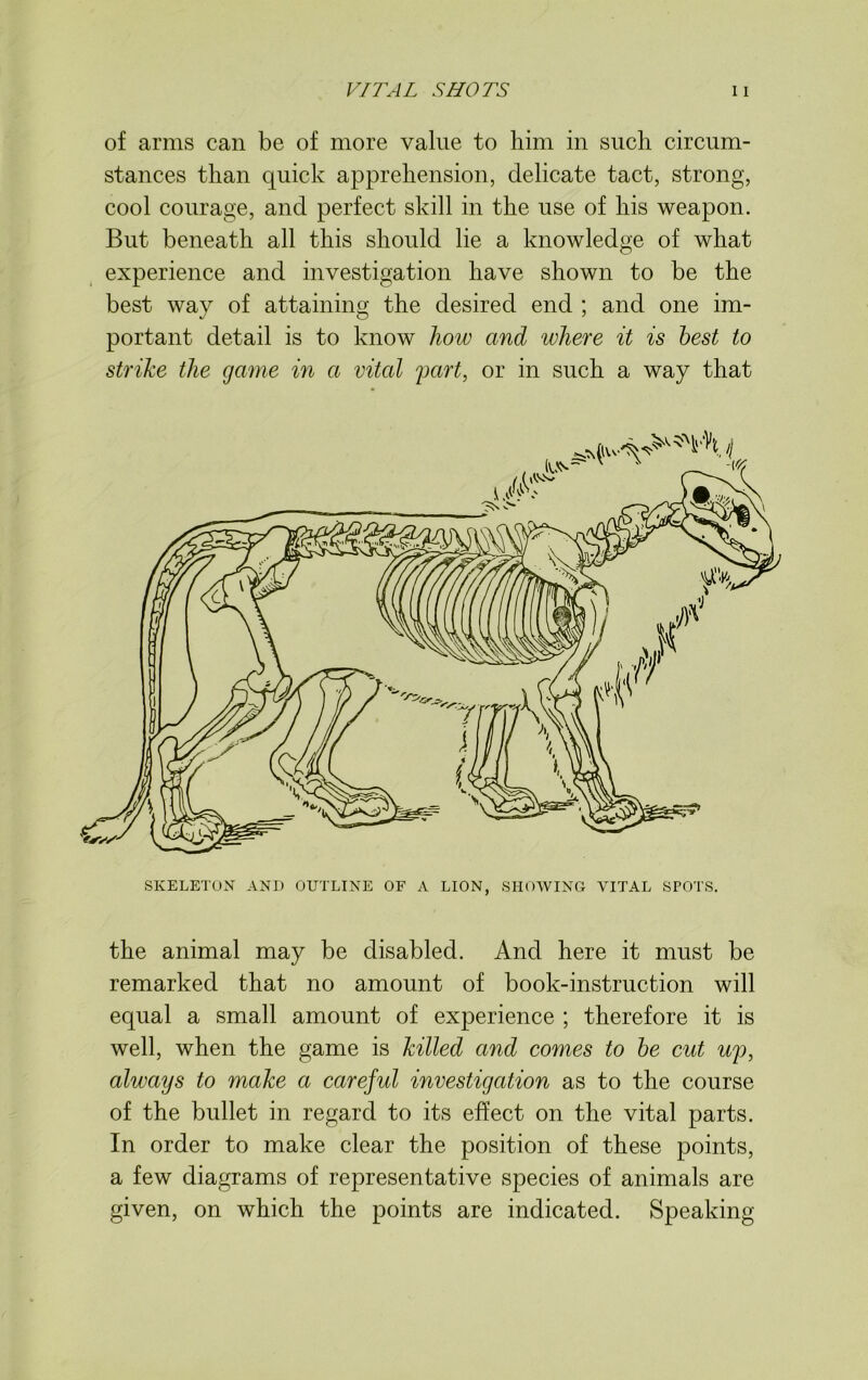 of arms can be of more value to him in such circum- stances than quick apprehension, delicate tact, strong, cool courage, and perfect skill in the use of his weapon. But beneath all this should lie a knowledge of what experience and investigation have shown to be the best way of attaining the desired end ; and one im- portant detail is to know how and where it is best to strike the game in a vital part, or in such a way that SKELETON AND OUTLINE OF A LION, SHOWING VITAL SPOTS. the animal may be disabled. And here it must be remarked that no amount of book-instruction will equal a small amount of experience ; therefore it is well, when the game is killed and comes to be cut U'p, always to make a careful investigation as to the course of the bullet in regard to its effect on the vital parts. In order to make clear the position of these points, a few diagrams of representative species of animals are given, on which the points are indicated. Speaking