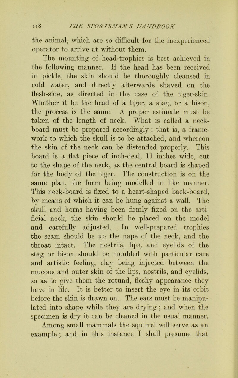 the animal, which are so difficult for the inexperienced operator to arrive at without them. The mounting of head-trophies is best achieved in the following manner. If the head has been received in pickle, the skin should be thoroughly cleansed in cold water, and directly afterwards shaved on the flesh-side, as directed in the case of the tiger-skin. Whether it be the head of a tiger, a stag, Or a bison, the process is the same. A proper estimate must be taken of the length of neck. What is called a neck- board must be prepared accordingly ; that is, a frame- work to which the skull is to be attached, and whereon the skin of the neck can be distended properly. This board is a flat piece of inch-deal, 11 inches wide, cut to the shape of the neck, as the central board is shaped for the body of the tiger. The construction is on the same plan, the form being modelled in like manner. This neck-board is fixed to a heart-shaped back-board, by means of which it can be hung against a wall. The skull and horns having been firmly fixed on the arti- ficial neck, the skin should be placed on the model and carefully adjusted. In well-prepared trophies the seam should be up the nape of the neck, and the throat intact. The nostrils, lips, and eyelids of the stag or bison should be moulded with particular care and artistic feeling, clay being injected between the mucous and outer skin of the lips, nostrils, and eyelids, so as to give them the rotund, fleshy appearance they have in life. It is better to insert the eye in its orbit before the skin is drawn on. The ears must be manipu- lated into shape while they are drying ; and when the specimen is dry it can be cleaned in the usual manner. Among small mammals the squirrel will serve as an example ; and in this instance I shall presume that