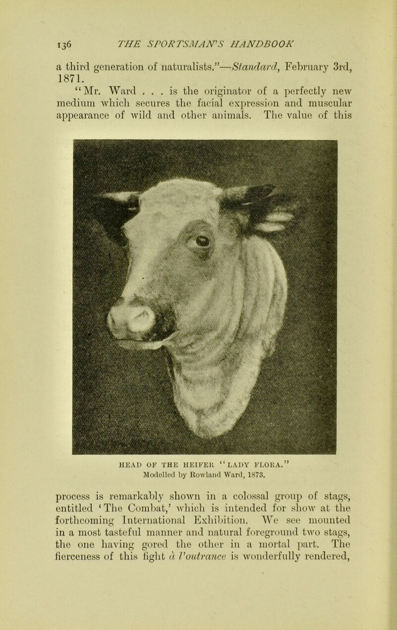 a third generation of naturalists.”—Standard, February 3rd, 1871. “Mr. Ward ... is the originator of a perfectly new medium which secures the facial expression and muscular appearance of wild and other animals. The value of this HEAD OF THE HEIFER “LADY FLORA.” Modelled by Rowland Ward, 1873. process is remarkably shown in a colossal group of stags, entitled ‘ The Combat,’ which is intended for show at the forthcoming International Exhibition. We see mounted in a most tasteful manner and natural foreground two stags, the one having gored the other in a mortal part. The fierceness of this fight a Voutvance is wonderfully rendered,