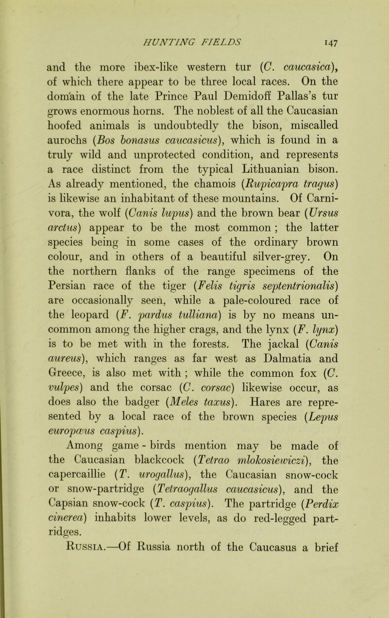 and the more ibex-like western tur (C. caucasica), of which there appear to be three local races. On the domain of the late Prince Paul Demidoff Pallas’s tur grows enormous horns. The noblest of all the Caucasian hoofed animals is undoubtedly the bison, miscalled aurochs (Bos bonasus caucasicus), which is found in a truly wild and unprotected condition, and represents a race distinct from the typical Lithuanian bison. As already mentioned, the chamois (Rupicapra tragus) is likewise an inhabitant of these mountains. Of Carni- vora, the wolf (Canis lupus) and the brown bear (TJrsus arctus) appear to be the most common ; the latter species being in some cases of the ordinary brown colour, and in others of a beautiful silver-grey. On the northern flanks of the range specimens of the Persian race of the tiger (Felis tigris septentrionalis) are occasionally seen, while a pale-coloured race of the leopard (F. pardus tulliana) is by no means un- common among the higher crags, and the lynx (F. lynx) is to be met with in the forests. The jackal (Canis aureus), which ranges as far west as Dalmatia and Greece, is also met with ; while the common fox (C. vulpes) and the corsac (C. cor sac) likewise occur, as does also the badger (Meles taxus). Hares are repre- sented by a local race of the brown species (Lepus europceus caspius). Among game - birds mention may be made of the Caucasian blackcock (Tetrao mlokosiewiczi), the capercaillie (T. urogallus), the Caucasian snow-cock or snow-partridge (Tetraogallus caucasicus), and the Capsian snow-cock (T. caspius). The partridge (Perdix cinerea) inhabits lower levels, as do red-legged part- ridges. Russia.—Of Russia north of the Caucasus a brief