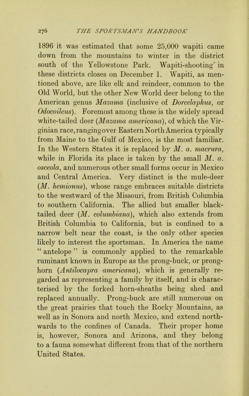 1896 it was estimated that some 25,000 wapiti came down from the mountains to winter in the district south of the Yellowstone Park. Wapiti-shooting' in these districts closes on December 1. Wapiti, as men- tioned above, are like elk and reindeer, common to the Old World, but the other New World deer belong to the American genus Mazama (inclusive of Dorcelaphus, or Odocoileus). Foremost among these is the widely spread white-tailed deer (Mazama americana), of which the Vir- ginian race, ranging over Eastern North America typically from Maine to the Gulf of Mexico, is the most familiar. In the Western States it is replaced by M. a. macrura, while in Florida its place is taken by the small M. a. osceola, and numerous other small forms occur in Mexico and Central America. Very distinct is the mule-deer (M. hemionus), whose range embraces suitable districts to the westward of the Missouri, from British Columbia to southern California. The allied but smaller black- tailed deer (M. columbiana), which also extends from British Columbia to California, but is confined to a narrow belt near the coast, is the only other species likely to interest the sportsman. In America the name “ antelope ” is commonly applied to the remarkable ruminant known in Europe as the prong-buck, or prong- horn (Antilocajjra americana), which is generally re- garded as representing a family by itself, and is charac- terised by the forked horn-sheaths being shed and replaced annually. Prong-buck are still numerous on the great prairies that touch the Pocky Mountains, as well as in Sonora and north Mexico, and extend north- wards to the confines of Canada. Their proper home is, however, Sonora and Arizona, and they belong to a fauna somewhat different from that of the northern United States.