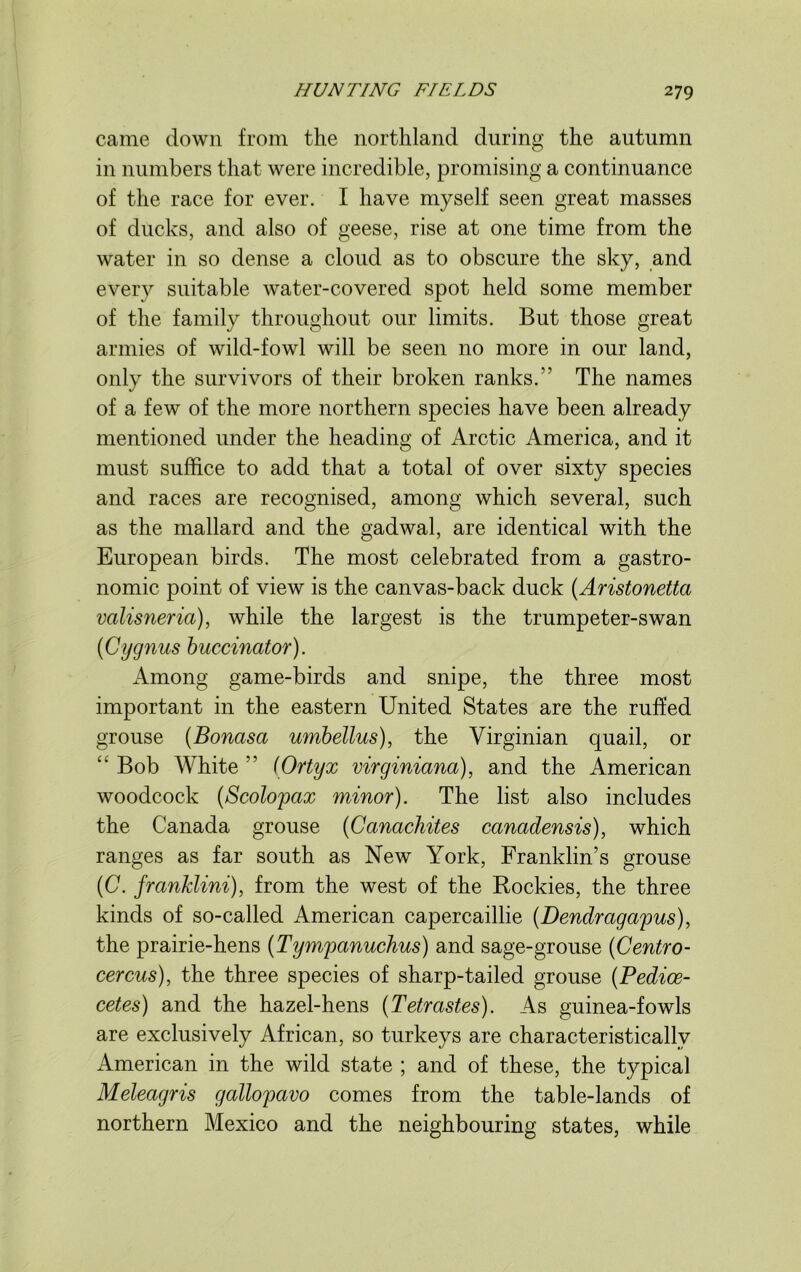came down from the northland during the autumn in numbers that were incredible, promising a continuance of the race for ever. I have myself seen great masses of ducks, and also of geese, rise at one time from the water in so dense a cloud as to obscure the sky, and every suitable water-covered spot held some member of the family throughout our limits. But those great armies of wild-fowl will be seen no more in our land, only the survivors of their broken ranks.” The names of a few of the more northern species have been already mentioned under the heading of Arctic America, and it must suffice to add that a total of over sixty species and races are recognised, among which several, such as the mallard and the gadwal, are identical with the European birds. The most celebrated from a gastro- nomic point of view is the canvas-back duck (Aristonetta valisneria), while the largest is the trumpeter-swan (Cygnus buccinator). Among game-birds and snipe, the three most important in the eastern United States are the ruffed grouse (Bonasa umbellus), the Virginian quail, or “ Bob White ” (Ortyx virginiana), and the American woodcock (Scolopax minor). The list also includes the Canada grouse (Canachites canadensis), which ranges as far south as New York, Franklin’s grouse (C. franklini), from the west of the Rockies, the three kinds of so-called American capercaillie (Dendragapus), the prairie-hens (Tympanuchus) and sage-grouse (Centro- cercus), the three species of sharp-tailed grouse (Pedioe- cetes) and the hazel-hens (Tetrastes). As guinea-fowls are exclusively African, so turkeys are characteristically American in the wild state ; and of these, the typical Meleagris gallopavo comes from the table-lands of northern Mexico and the neighbouring states, while