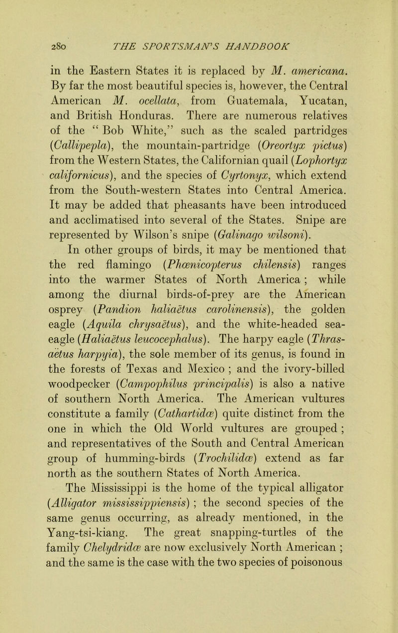 in the Eastern States it is replaced by M. americana. By far the most beautiful species is, however, the Central American M. ocellcita, from Guatemala, Yucatan, and British Honduras. There are numerous relatives of the “ Bob White,” such as the scaled partridges (Callipepla), the mountain-partridge (Oreortyx pictus) from the Western States, the Californian quail (Lophortyx calif or nicus), and the species of Cyrtonyx, which extend from the South-western States into Central America. It may be added that pheasants have been introduced and acclimatised into several of the States. Snipe are represented by Wilson’s snipe (Galinago wilsoni). In other groups of birds, it may be mentioned that the red flamingo (Phoenicopterus chilensis) ranges into the warmer States of North America; while among the diurnal birds-of-prey are the American osprey (Pandion haliaetus carolinensis), the golden eagle (Aquila chrysaetus), and the white-headed sea- eagle (Haliaetus leucocephalus). The harpy eagle (Thras- aetus harpyia), the sole member of its genus, is found in the forests of Texas and Mexico ; and the ivory-billed woodpecker (Campophilus principalis) is also a native of southern North America. The American vultures constitute a family (Cathartidce) quite distinct from the one in which the Old World vultures are grouped ; and representatives of the South and Central American group of humming-birds (Trochilidce) extend as far north as the southern States of North America. The Mississippi is the home of the typical alligator (Alligator mississippiensis) ; the second species of the same genus occurring, as already mentioned, in the Yang-tsi-kiang. The great snapping-turtles of the family Chelydridce are now exclusively North American ; and the same is the case with the two species of poisonous