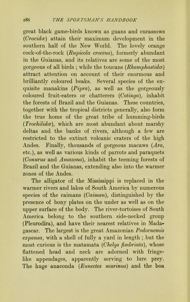great black game-birds known as guans and curassows (Cracidce) attain their maximum development in the southern half of the New World. The lovely orange cock-of-the-rock (Rupicola croceus), formerly abundant in the Guianas, and its relatives are some of the most gorgeous of all birds ; while the toucans (Rhamphastidce) attract attention on account of their enormous and brilliantly coloured beaks. Several species of the ex- quisite manakins (Pipra), as well as the gorgeously coloured fruit-eaters or chatterers (Cotinga), inhabit the forests of Brazil and the Guianas. These countries, together with the tropical districts generally, also form the true home of the great tribe of humming-birds (Trochilidce), which are most abundant about marshy deltas and the banks of rivers, although a few are restricted to the extinct volcanic craters of the high Andes. Finally, thousands of gorgeous macaws (Ara, etc.), as well as various kinds of parrots and paraquets (Conurus and Amazona), inhabit the teeming forests of Brazil and the Guianas, extending also into the warmer zones of the Andes. The alligator of the Mississippi is replaced in the warmer rivers and lakes of South America by numerous species of the caimans {Caiman), distinguished by the presence of bony plates on the under as well as on the upper surface of the body. The river-tortoises of South America belong to the southern side-necked group (Pleurodira), and have their nearest relatives in Mada- gascar. The largest is the great Amazonian Podocnemis expansa, with a shell of fully a yard in length ; but the most curious is the matamata (Chelys fimbriata), whose flattened head and neck are adorned with fringe- like appendages, apparently serving to lure prey. The huge anaconda (Eunectes murinus) and the boa