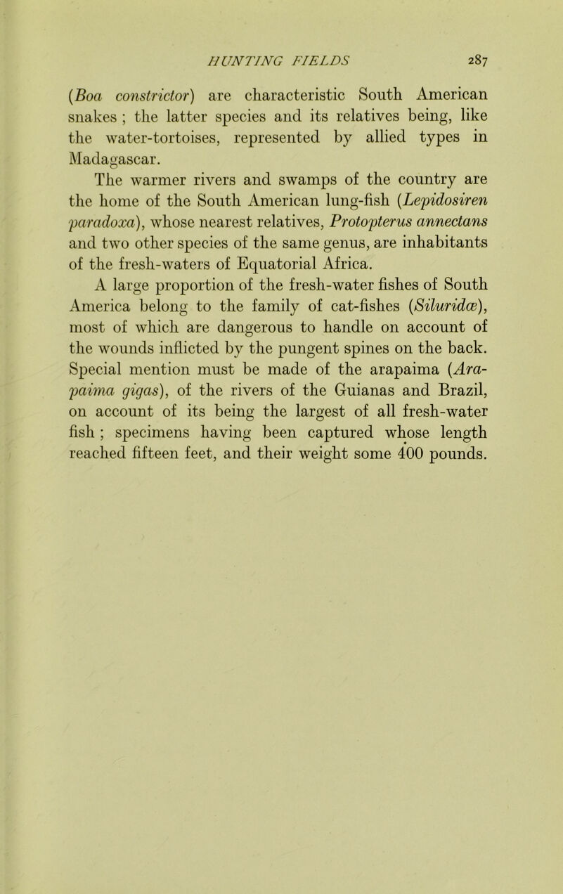 (Boa constrictor) are characteristic South American snakes ; the latter species and its relatives being, like the water-tortoises, represented by allied types in Madagascar. The warmer rivers and swamps of the country are the home of the South American lung-fish (Lepidosiren paradoxa), whose nearest relatives, Protoyterus annectans and two other species of the same genus, are inhabitants of the fresh-waters of Equatorial Africa. A large proportion of the fresh-water fishes of South America belong to the family of cat-fishes (Siluridce), most of which are dangerous to handle on account of the wounds inflicted by the pungent spines on the back. Special mention must be made of the arapaima (Ara- 2Mima gigas), of the rivers of the Guianas and Brazil, on account of its being the largest of all fresh-water fish ; specimens having been captured whose length reached fifteen feet, and their weight some 400 pounds.