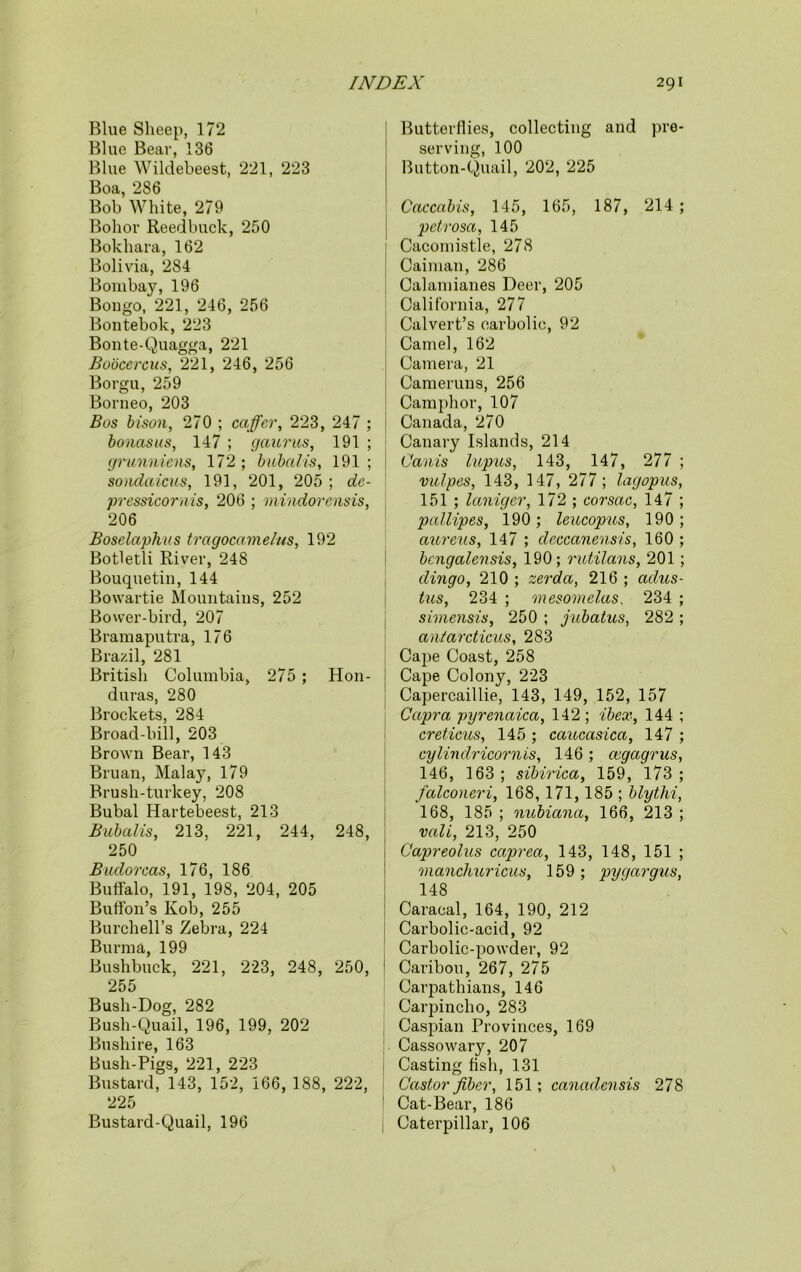 Blue Sheep, 172 Blue Bear, 136 Blue Wildebeest, 221, 223 Boa, 286 Bob White, 279 Bolior Reedbuck, 250 Bokhara, 162 Bolivia, 284 Bombay, 196 Bongo, 221, 246, 256 Bontebok, 223 Bonte-Quagga, 221 Boocercus, 221, 246, 256 Borgu, 259 Borneo, 203 Bus bison, 270 ; caffcr, 223, 247 ; bonasus, 147 ; gaums, 191 ; grunniens, 172 ; bubalis, 191 ; sondaicus, 191, 201, 205 ; de- pressicornis, 206 ; mindorensis, 206 Boselaphus tragocamel-us, 192 Botletli River, 248 Bouquetin, 144 Bowartie Mountains, 252 Bower-bird, 207 Bramaputra, 176 Brazil, 281 British Columbia, 275 ; Hon- duras, 280 Brockets, 284 Broad-bill, 203 Brown Bear, 143 Bruan, Malay, 179 Brush-turkey, 208 Bubal Hartebeest, 213 Bubalis, 213, 221, 244, 248, 250 Budorcas, 176, 186 Buffalo, 191, 198, 204, 205 Buffon’s Kob, 255 Burchell’s Zebra, 224 Burma, 199 Bushbuck, 221, 223, 248, 250, 255 Bush-Dog, 282 Bush-Quail, 196, 199, 202 Bushire, 163 Bush-Pigs, 221, 223 Bustard, 143, 152, 166, 188, 222, 225 Bustard-Quail, 196 Butterflies, collecting and pre- serving, 100 Button-Quail, 202, 225 Caccabis, 145, 165, 187, 214 ; petrosa, 145 Cacomistle, 278 Caiman, 286 Calamianes Deer, 205 California, 277 Calvert’s carbolic, 92 Camel, 162 Camera, 21 Cameruns, 256 Camphor, 107 Canada, 270 Canary Islands, 214 Canis lupus, 143, 147, 277 ; vulpes, 143, 147, 277; lagopus, 151 ; laniger, 172 ; cor sac, 147 ; pallipes, 190; leucopus, 190; aureus, 147 ; cleccanensis, 160 ; bcngalensis, 190; rutilans, 201 ; dingo, 210 ; zerda, 216 ; adus- tus, 234 ; mesomelas. 234 ; simensis, 250 ; jubatus, 282 ; antarcticus, 283 Cape Coast, 258 Cape Colony, 223 Capercaillie, 143, 149, 152, 157 Capra pyrenaica, 142 ; ibex, 144 ; creticus, 145 ; caucasica, 147 ; cylindricornis, 146 ; cegagrus, 146, 163 ; sibirica, 159, 173 ; falconeri, 168, 171,185 ; blythi, 168, 185 ; nubiana, 166, 213 ; vali, 213, 250 Capreolus caprea, 143, 148, 151 ; niancliuricus, 159; pygargus, 148 Caracal, 164, 190, 212 Carbolic-acid, 92 Carbolic-powder, 92 1 Caribou, 267, 275 Carpathians, 146 Carpincho, 283 Caspian Provinces, 169 Cassowary, 207 Casting fish, 131 Castor fiber, 151; canadensis 278 Cat-Bear, 186 Caterpillar, 106