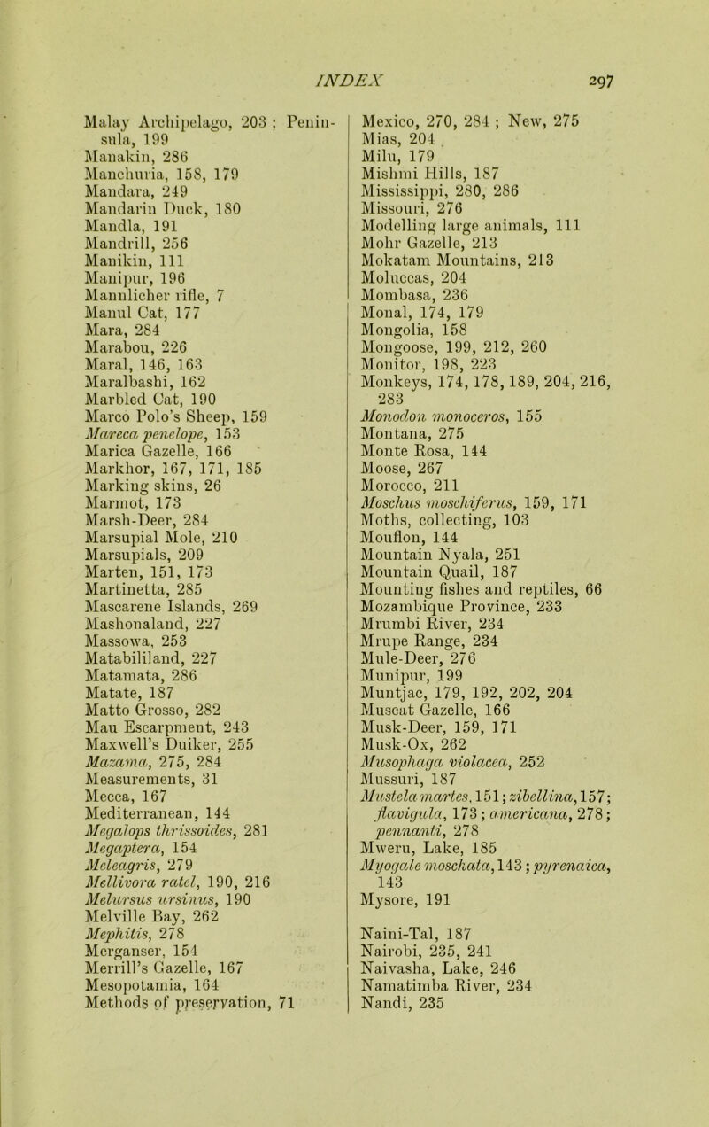 Malay Archipelago, 203 : Penin- sula, 199 Man akin, 286 Manchuria, 158, 179 Mandara, 249 Mandarin Duck, ISO Mandla, 191 Mandrill, 256 Manikin, 111 Manipur, 196 Mannlicher rifle, 7 Manul Cat, 177 Mara, 284 Marabou, 226 Maral, 146, 163 Maralbashi, 162 Marbled Cat, 190 Marco Polo’s Sheep, 159 Mar eca pend ope, 153 Marica Gazelle, 166 Markhor, 167, 171, 185 Marking skins, 26 Marmot, 173 Marsh-Deer, 284 Marsupial Mole, 210 Marsupials, 209 Marten, 151, 173 Martinetta, 285 Mascarene Islands, 269 Mashonaland, 227 Massowa, 253 Matabililand, 227 Matamata, 286 Matate, 187 Matto Grosso, 282 Mau Escarpment, 243 Maxwell’s Duiker, 255 Mazama, 275, 284 Measurements, 31 Mecca, 167 Mediterranean, 144 Megalops thrissoides, 281 Megaptera, 154 Meleagris, 279 Mellivora ratel, 190, 216 Melursus ursinus, 190 Melville Bay, 262 Mephitis, 278 Merganser, 154 Merrill’s Gazelle, 167 Mesopotamia, 164 Methods of preservation, 71 Mexico, 270, 284 ; New, 275 Mias, 204 Milu, 179 Mislnni Hills, 187 Mississippi, 280, 286 Missouri, 276 Modelling large animals, 111 Mohr Gazelle, 213 Mokatam Mountains, 213 Moluccas, 204 Mombasa, 236 Monal, 174, 179 Mongolia, 158 Mongoose, 199, 212, 260 Monitor, 198, 223 Monkeys, 174, 178,189, 204, 216, 283 Monodon monoceros, 155 Montana, 275 Monte Rosa, 144 Moose, 267 Morocco, 211 Moschus moscliiferus, 159, 171 Moths, collecting, 103 Mouflon, 144 Mountain Nyala, 251 Mountain Quail, 187 Mounting fishes and reptiles, 66 Mozambique Province, 233 Mrumbi River, 234 Mrupe Range, 234 Mule-Deer, 276 Munipur, 199 Muntjac, 179, 192, 202, 204 Muscat Gazelle, 166 Musk-Deer, 159, 171 Musk-Ox, 262 Musophaga violacea, 252 M ussuri, 187 Must ela mart es, 151; zibellina, 157; flavigula, 173 ; americana, 278; pennanti, 278 Mweru, Lake, 185 Myogalc moschata, 143; pyrenaica, 143 Mysore, 191 Naini-Tal, 187 Nairobi, 235, 241 Naivasha, Lake, 246 Namatimba River, 234 Nandi, 235