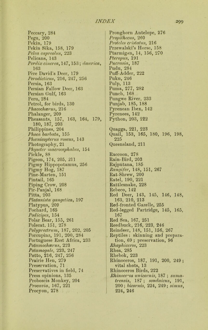 Peccary, 284 Pegu, 200 Pekin, 179 Pekin Sika, 158, 179 Pclca capreolm, 223 Pelicans, 143 Pcrdix cinerea, 147, 153 ; dnurica, 163 Pere David’s Deer, 179 Perodicticus, 216, 247, 256 Persia, 163 Persian Fallow Deer, 163 Persian Gulf, 163 Peru, 284 Petrol, for birds, 130 Phacochaerus, 216 Phalanger, 209 Pheasants, 157, 163, 164, 179, 180, 187, 203 Philippines, 204 Phoca barbatn, 155 Plicenicopterus roseus, 143 Photography, 21 Physcter macrocephalus, 154 Pickle, 88 Pigeon, 174, 205, 211 Pigmy Hippopotamus, 256 Pigmy Hog, 187 Pine-Marten, 151 Pintail, 165 Piping Crow, 208 Pir-Panjal, 168 Pitta, 203 Platanista gangetica, 197 Platypus, 209 Pochard, 165 Podicipes, 154 Polar Bear, 155, 261 Polecat, 151, 278 Polyprectrum, 187, 202, 205 Porcupine, 191, 200, 284 Portuguese East Africa, 233 Potamochcerus, 223 Potamogale, 223, 247 Potto, 216, 247, 256 Prairie Hen, 279 Preservation, 71 Preservatives in field, 74 Press opinions, 135 Proboscis Monkey, 204 Procavia, 167, 221 Procyon, 278 Pronghorn Antelope, 276 Propithecus, 260 Protdcs cristatus, 216 Przewalski’s Plorse, 158 Ptarmigan, 14, 156, 270 Pteropus, 191 Pucrasia, 187 Pudu, 284 Puff-Adder, 222 Puku, 246 Pulp, 113 Puma, 277, 282 Punch, 168 Pungwe River, 233 Punjab, 185, 188 Pyrenean Ibex, 142 Pyrenees, 142 Python, 203, 222 Quagga, 221, 223 Quail, 153, 165, 180, 196, 198, 225 [ Queensland, 211 Raccoon, 278 Rain-Bird, 203 Rajputana, 185 Rcingifer, 148, 151, 267 Rat-Shrew, 200 Ratel, 190, 221 Rattlesnake, 228 Rebeco, 142 Red Deer, 143, 145, 146, 148, 163, 210, 213 Red-fronted Gazelle, 255 Red-legged Partridge, 145, 165, 167 Red Sea, 167, 251 Reedbuck, 216, 223, 246 Reindeer, 148, 151, 156, 267 Reptiles : skinning and prepara- tion, 69 ; preservation, 96 Rhaphiceros, 223 Rhea, 285 Rhebok, 223 Rhinoceros, 187, 191, 200, 249; vital shots, 13 Rhinoceros Birds, 222 Rhinoceros unicornis, 187 ; suma- trensis, 187; sondaicus, 191, 200 ; bicornis, 224, 249; simus, 224, 246