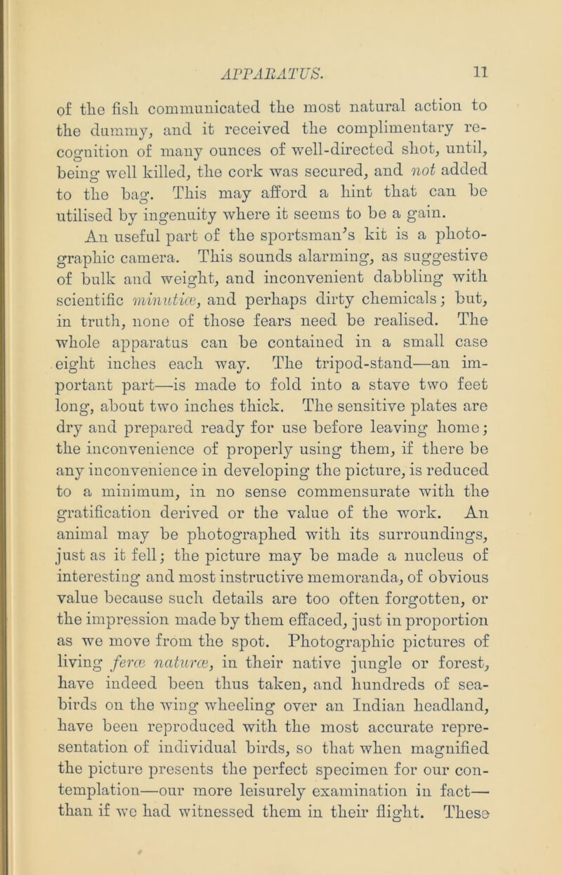 of tlio fish communicated the most natural action to the dummy, and it received the complimentary re- cognition of many ounces of well-directed shot, untd, beino* well killed, the cork was secured, and not added to the bag. This may afford a hint that can bo utilised by ingenuity where it seems to be a gain. An useful part of the siDortsman^s kit is a photo- graphic camera. This sounds alarming, as suggestive of bulk and weight, and inconvenient dabbling with scientific minutico, and perhaps dirty chemicals; but, in truth, none of those fears need be realised. The whole apparatus can be contained in a small case . eight inches each way. The tripod-stand—an im- portant part—is made to fold into a stave two feet long, about two inches thick. The sensitive plates are dry and prepared ready for use before leaving home; the inconvenience of properly using them, if there be any inconvenience in developing the picture, is reduced to a minimum, in no sense commensurate with the gratification derived or the value of the work. An animal may be photographed with its surroundings, just as it fell; the picture may be made a nucleus of interesting and most instructive memoranda, of obvious value because such details are too often forgotten, or the impression made by them effaced, just in proportion as we move from the spot. Photographic pictures of living ferce natiirce, in their native jungle or forest, have indeed been thus taken, and hundreds of sea- birds on the wing wheeling over an Indian headland, have been reproduced with the most accurate repre- sentation of individual birds, so that when magnified the picture presents the perfect specimen for our con- templation—our more leisurely examination in fact— than if we had witnessed them in their flight. These