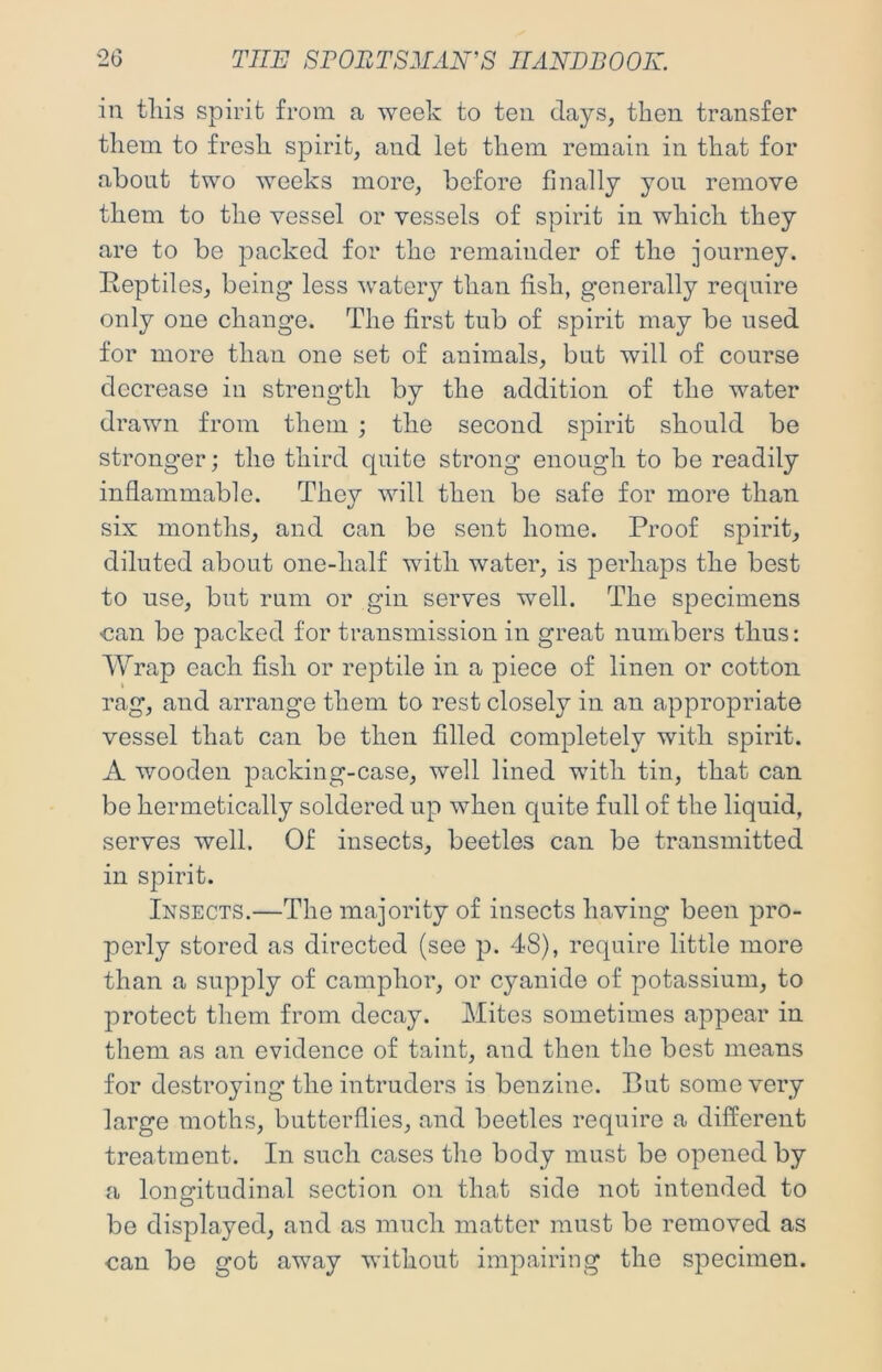 in tliis spirit from a week to ten days, then transfer them to fresh spirit, and let them remain in that for about two weeks more, before finally you remove them to the vessel or vessels of spirit in which they are to be packed for the remainder of the journey. Reptiles, being less watery than fish, generally require only one change. The first tub of spirit may be used for more than one set of animals, but will of course decrease in strength by the addition of the water drawn from them ; the second spirit should be stronger; the third quite strong enough to be readily inflammable. They will then be safe for more than six months, and can be sent home. Proof spirit, diluted about one-half with water, is perhaps the best to use, but rum or gin serves well. The specimens <3an be packed for transmission in great numbers thus; Wrap each fish or reptile in a piece of linen or cotton rag, and arrange them to rest closely in an appropriate vessel that can be then filled completely with spirit. A wooden packing-case, well lined with tin, that can be hermetically soldered up when quite full of the liquid, serves well. Of insects, beetles can be transmitted in spirit. Insects.—The majority of insects having been pro- perly stored as directed (see p. 48), require little more than a supply of camphor, or cyanide of potassium, to protect them from decay. Mites sometimes appear in them as an evidence of taint, and then the best means for destroying the intruders is benzine. Rut some very large moths, butterflies, and beetles require a different treatment. In such cases the body must be opened by a lonfritudinal section on that side not intended to be displayed, and as much matter must be removed as €an be got away without impairing the specimen.