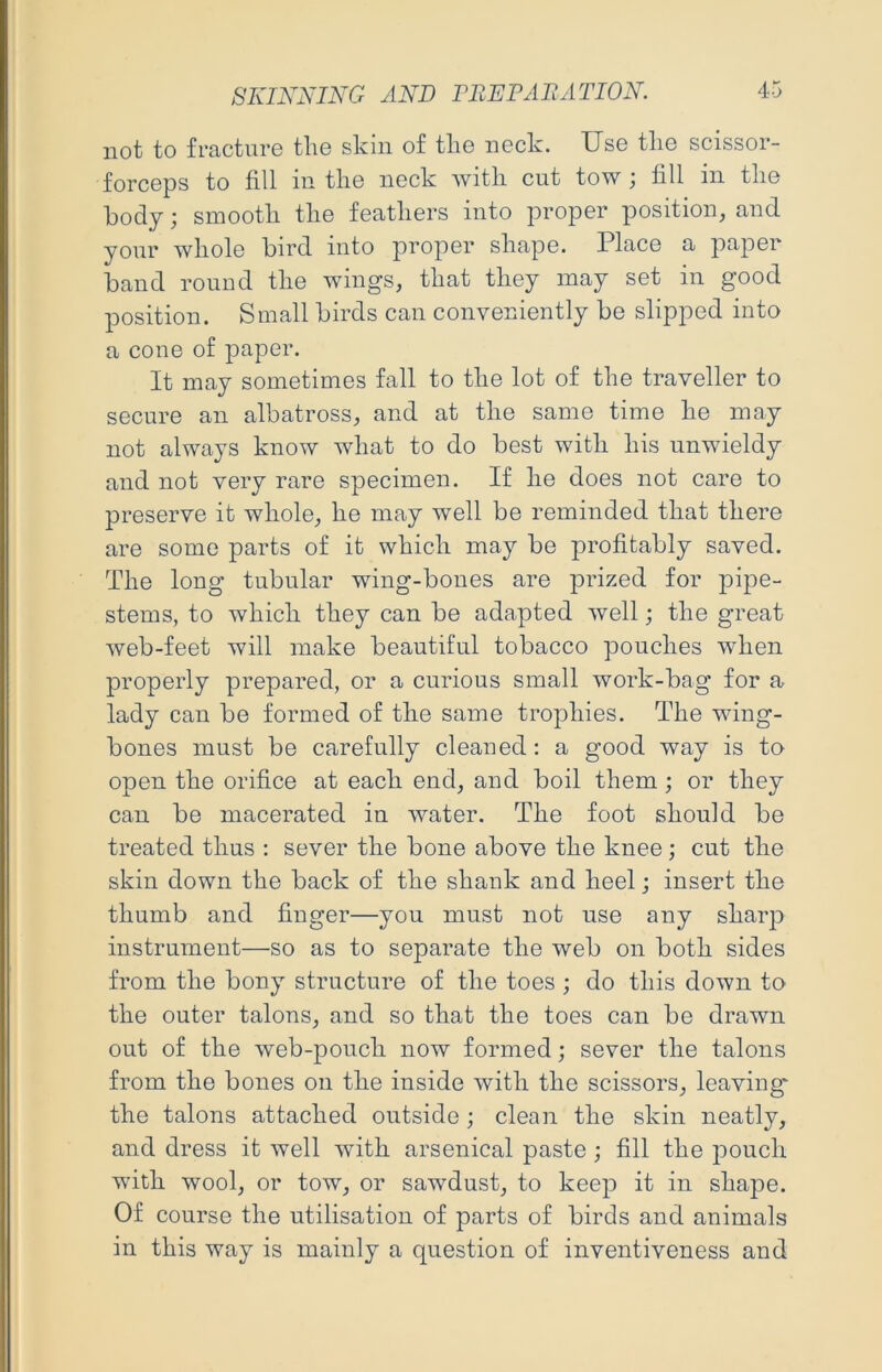 not to fracture tlie skin of tlie neck. Use the scissor- forceps to fill in tlie neck with cut tow ; fill in the body; smootli tlie featliers into proper position, and your whole bird into proper shape. Place a paper band round the wings, that they may set in good position. Small birds can conveniently be slipped into a cone of paper. It may sometimes fall to the lot of the traveller to secure an albatross, and at the same time he may not always know what to do best with his unwieldy and not very rare specimen. If he does not care to preserve it whole, he may well be reminded that there are some parts of it which may be profitably saved. The long tubular wing-bones are prized for pipe- stems, to which they can be adapted well; the great web-feet will make beautiful tobacco pouches when properly prepared, or a curious small work-bag for a lady can be formed of the same trophies. The wing- bones must be carefully cleaned: a good way is ta open the orifice at each end, and boil them ; or they can be macerated in water. The foot should be treated thus : sever the bone above the knee ; cut the skin down the back of the shank and heel; insert the thumb and finger—you must not use any sharp instrument—so as to separate the web on both sides from the bony structure of the toes ; do this down to the outer talons, and so that the toes can be drawn out of the web-pouch now formed; sever the talons from the bones on the inside with the scissors, leaving- the talons attached outside; clean the skin neatly, and dress it well with arsenical paste ; fill the joouch with wool, or tow, or sawdust, to keep it in shape. Of course the utilisation of parts of birds and animals in this way is mainly a question of inventiveness and