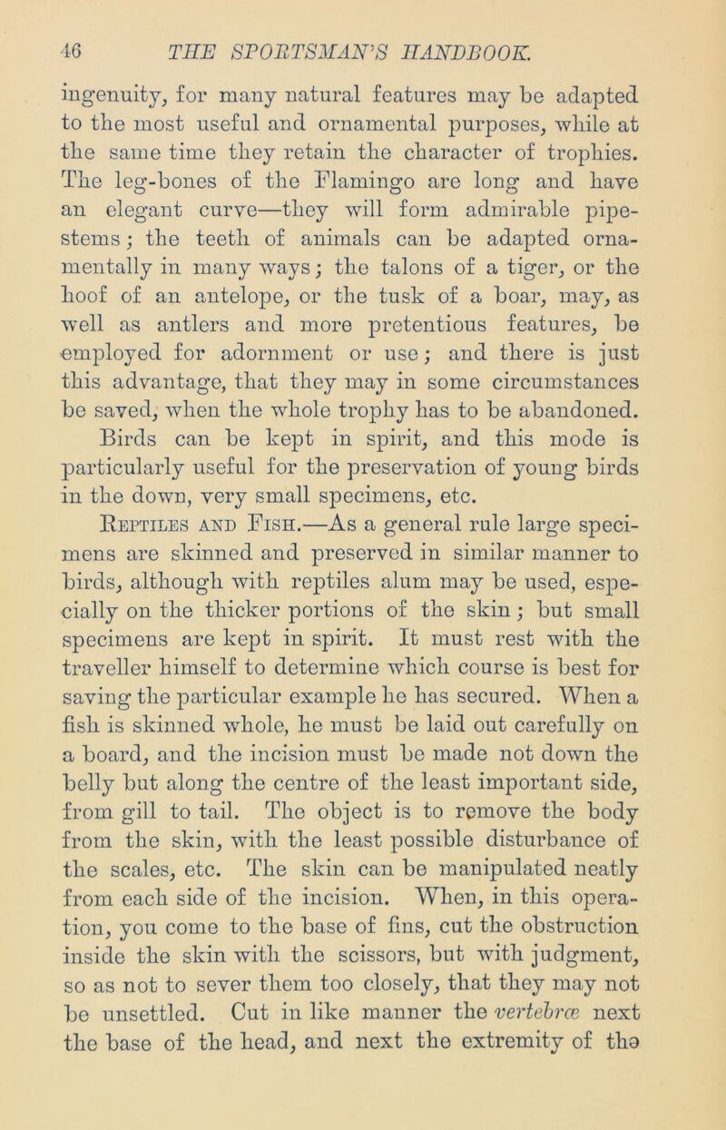 ingenuity^ for many natural features may be adapted to the most useful and ornamental purposes, while at the same time they retain the character of trophies. The leg-bones of the Flamingo are long and have an elegant curve—they will form admirable pipe- stems j the teeth of animals can be adapted orna- mentally in many ways; the talons of a tiger, or the hoof of an antelope, or the tusk of a boar, may, as well as antlers and more pretentious features, be emjDloyed for adornment or use; and there is just this advantage, that they may in some circumstances be saved, when the whole trophy has to be abandoned. Birds can be kept in spirit, and this mode is particularly useful for the preservation of young birds in the down, very small specimens, etc. Eeptiles and Fish.—As a general rule large speci- mens are skinned and preserved in similar manner to birds, although with reptiles alum may be used, espe- cially on the thicker portions of the skin; but small specimens are kept in spirit. It must rest with the traveller himself to determine which course is best for saving the particular example he has secured. When a fish is skinned whole, he must be laid out carefully on a board, and the incision must be made not down the belly but along the centre of the least important side, from gill to tail. The object is to remove the body from the skin, with the least possible disturbance of the scales, etc. The skin can be manipulated neatly from each side of the incision. When, in this opera- tion, you come to the base of fins, cut the obstruction inside the skin with the scissors, but with judgment, so as not to sever them too closely, that they may not be unsettled. Cut in like manner the vertebree next the base of the head, and next the extremity of tho