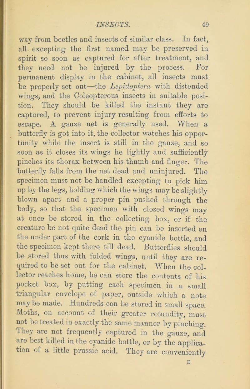 way from beetles and insects of similar class. In fact, all excepting tlie first named may be preserved in spirit so soon as captured for after treatment, and they need not be injured by tlie process. For permanent display in the cabinet, all insects must be properly set out—tlie Lepidoptera with distended wings, and the Coleopterous insects in suitable posi- tion. They should be killed the instant they are captured, to prevent injury resulting from efforts to escape. A gauze net is generally used. When a butterfly is got into it, the collector watches his oppor- tunity while the insect is still in the gauze, and so soon as it closes its wings he lightly and sufficiently pinches its thorax between his thumb and finger. The butterfly falls from the net dead and uninjured. The specimen must not be handled excepting to pick him up by the legs, holding which the wings may be slightly blown apart and a proper pin pushed through the body, so that the specimen with closed wings may at once be stored in the collecting box, or if the creature be not quite dead the pin can be inserted on the under part of the cork in the cyanide bottle, and the specimen kept there till dead. Butterflies should be stored thus with folded wings, until they are re- quired to be set out for the cabinet. When the col- lector reaches home, he can store the contents of his pocket box, by putting each specimen in a small triangular envelope of paper, outside which a note may be made. Hundreds can be stored in small space. Moths, on account of their greater rotundity, must not be treated in exactly the same manner by pinching. They are not frequently captured in the gauze, and are best killed in the cyanide bottle, or by the applica- tion of a little prussic acid. They are conveniently E