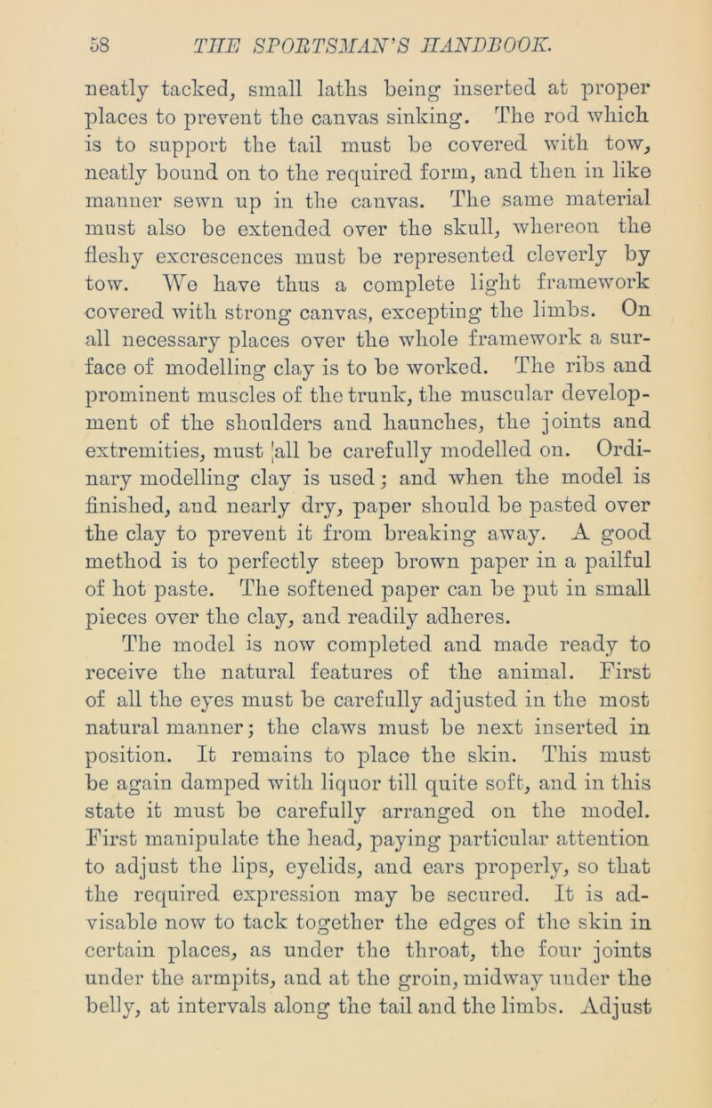 neatly tacked, small latlis being inserted at proper places to prevent tlie canvas sinking. The rod which is to support the tail must be covered with tow, neatly bound on to the required form, and then in like manner sewn up in the canvas. The same material must also be extended over the skull, whereon the fleshy excrescences must be represented cleverly by tow. Wo have thus a complete light framework covered with strong canvas, excepting the limbs. On all necessary places over the whole framework a sur- face of modelling clay is to be worked. The ribs and prominent muscles of the trunk, the muscular develop- ment of the shoulders and haunches, the joints and extremities, must [all be carefully modelled on. Ordi- nary modelling clay is used; and when the model is finished, and nearly dry, paper should be pasted over the clay to prevent it from breaking away. A good method is to perfectly steep brown paper in a pailful of hot paste. The softened paper can be put in small pieces over the clay, and readily adheres. The model is now completed and made ready to receive the natural features of the animal. First of all the eyes must be carefully adjusted in the most natural manner; the claws must be next inserted in position. It remains to place the skin. This must be again damped with liquor till quite soft, and in this state it must be carefully arranged on the model. First manipulate the head, paying particular attention to adjust the lips, eyelids, and ears properly, so that the required expression may be secured. It is ad- visable now to tack tog^ether the edg-es of the skin in certain places, as under the throat, the four joints under the armpits, and at the groin, midway under the belly, at intervals along the tail and the limbs. Adjust