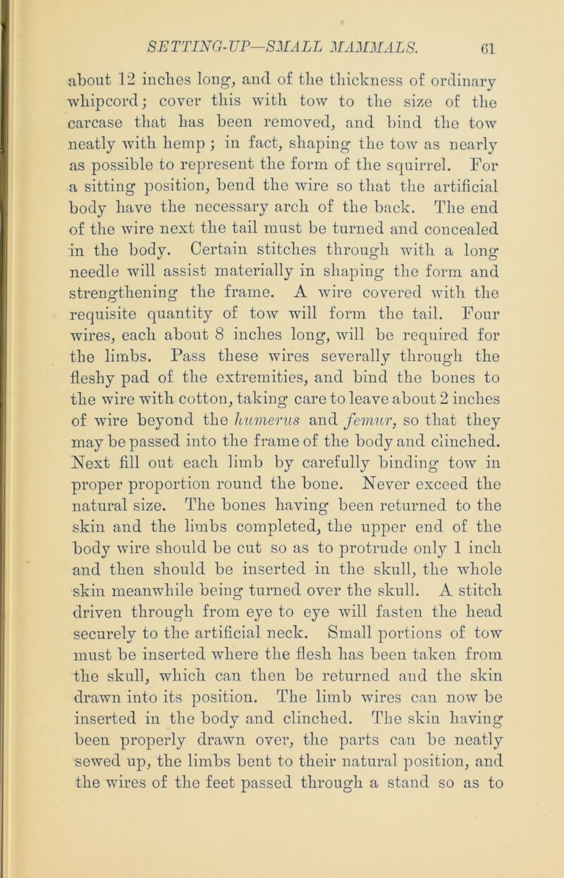 SETTING- UE—S:SIALL :\IA2niALS. G1 about 12 indies long-, and of tlie thickness of ordinary whipcord; cover this with tow to the size of the carcase that has been removed, and bind the tow neatly with hemp ; in fact, shaping the tow as nearly as possible to represent the form of the squirrel. For a sitting position, bend the wire so that the artificial body have the necessary arch of the back. The end of the wire next the tail must be turned and concealed in the body. Certain stitches through with a long needle will assist materially in shaping the form and strengthening the frame. A wire covered with the requisite quantity of tow will form the tail. Four wires, each about 8 inches long, will be required for the limbs. Pass these wires severally through the fleshy pad of the extremities, and bind the bones to the wire with cotton, taking care to leave about 2 inches of wire beyond the humerus femur, so that they may be passed into the frame of the body and clinched. Next fill out each limb by carefully binding tow in proper proportion round the bone. Never exceed the natural size. The bones having been returned to the skin and the limbs completed, the upper end of the body wire should be cut so as to jorotrude only 1 inch and then should be inserted in the skull, the whole skin meanwhile being turned over the skull. A stitch driven through from eye to eye will fasten the head securely to the artificial neck. Small portions of tow must be inserted where the flesh has been taken from the skull, which can then be returned and the skin drawn into its position. The limb wires can now be inserted in the body and clinched. The skin having been properly drawn over, the parts can be neatly sewed up, the limbs bent to their natural jiosition, and the wires of the feet passed through a stand so as to