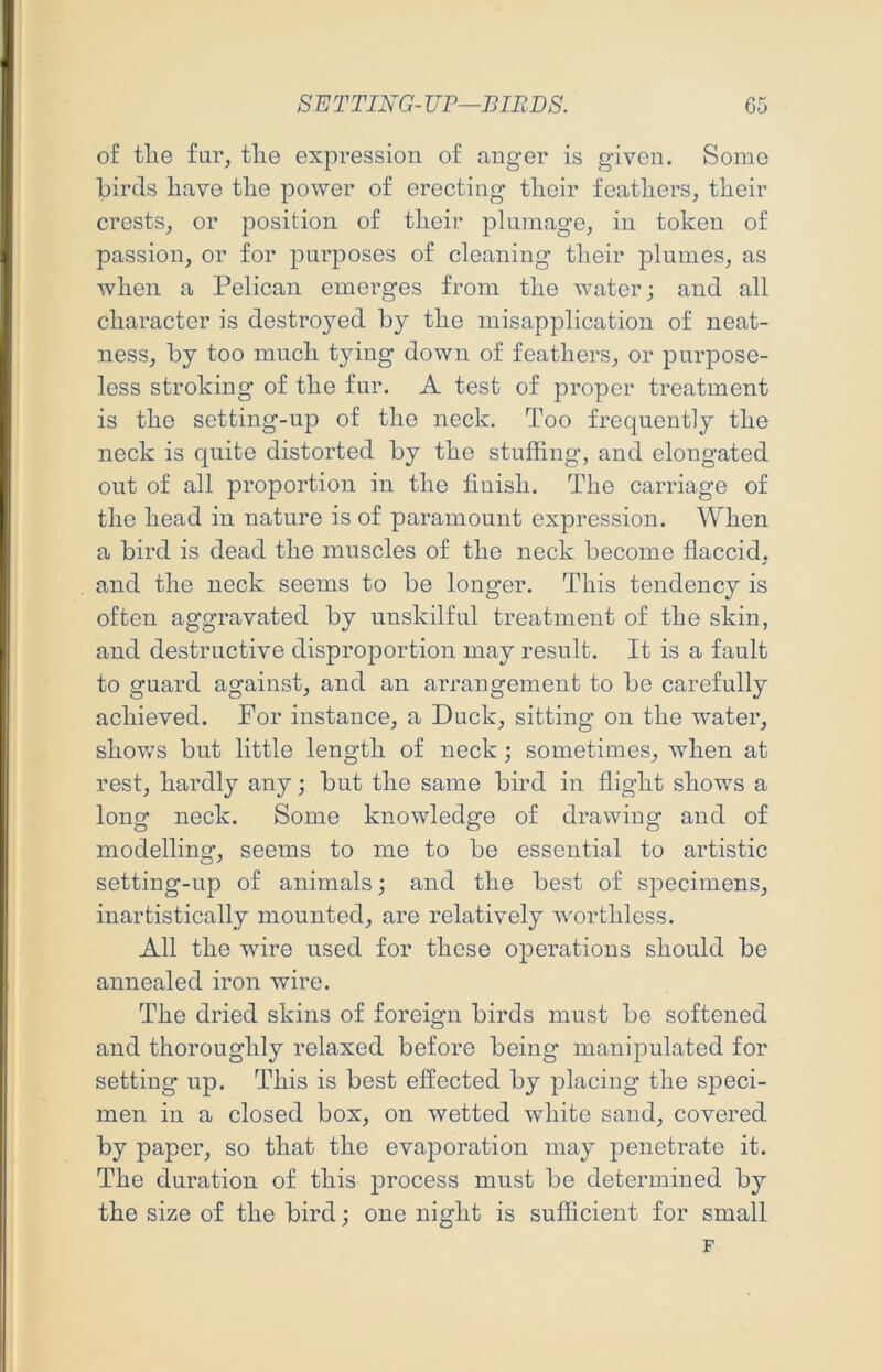 of tlie fur, tlie expression of anger is given. Some birds have the power of erecting their feathers, their crests, or position of their plumage, in token of passion, or for purposes of cleaning their plumes, as when a Pelican emerges from the water; and all character is destroyed by the misapplication of neat- ness, by too much tying down of feathers, or purpose- less stroking of the fur. A test of proper treatment is the setting-up of the neck. Too frequently the neck is quite distorted by the stuffing, and elongated out of all proportion in the finish. The carriage of the head in nature is of paramount expression. When a bird is dead the muscles of the neck become flaccid, and the neck seems to be longer. This tendency is often aggravated by unskilful treatment of the skin, and destructive disproportion may result. It is a fault to guard against, and an arrangement to be carefully achieved. For instance, a Duck, sitting on the water, shows but little length of neck ; sometimes, when at rest, hardly any; but the same bird in flight shows a long neck. Some knowledge of drawing and of modelling, seems to me to be essential to artistic setting-up of animals; and the best of specimens, inartistically mounted, are relatively worthless. All the wire used for these operations should be annealed iron wire. The dried skins of foreign birds must be softened and thoroughly relaxed before being manipulated for setting up. This is best effected by placing the speci- men in a closed box, on wetted white sand, covered by paper, so that the evaporation may penetrate it. The duration of this process must be determined by the size of the bird; one night is sufficient for small F