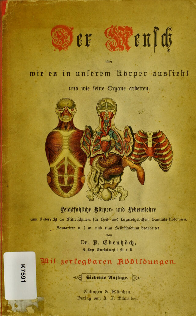 digitised image 1