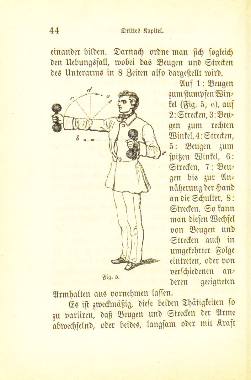 einander hüben. £arnad) orbne man ftd? fogteidf ben Uebung«fatt, mobei ba« Seugett unb ©treefen be« Unterarm« in 8 Seiten alfo bargefteüt mirb. Stuf 1: Seugen jumftumpfen2Bin= tcl (gig. 5, c), auf 2: ©treefen, 3: Sem gen jum regten Sßinfet, 4: ©treefen, 5: ißcugcn jum fpi^en Sßinfel, 6: ©treten, 7: Sem gen bi« jur 91m nat)erung ber £anb an bic ©efmtter, 8: ©treefen. ©o fann man biefen 2Beef)fel non Sengen unb ©treefen auef) in umgefefjrter golge eintreten, ober oon ocrfdjicbcnen am bereu geeigneten QIrmfjatten au« nornetjmen taffen. e« ijt jmecfmäfig, biefe beiben S^ötigfeiten fo ju oariiren, baff Seugetr unb ©treefen ber 5trme abmeclffelnb, ober beibe«, tangfam ober mit Äraft
