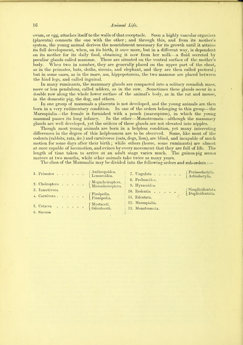 ovvun, or egg, attaches itself to the walls of that receptacle. Soon a highly vascular organism (placenta) connects the one with the other; and through this, and from its mother’s system, the young animal derives the nourishment necessary for its growth until it attains its full development, when, on its birth, it once more, but in a difierent way, is dependent on its mother for its daily food, obtaining it now from her milk—a fluid secreted by peculiar glands called mammas. These are situated on the ventral surface of the mother’s body. When two in number, they are generally placed on the upper part of the chest, as in the primates, bats, sloths, sirenia, and elephant, and they are then called pectoral; but in some cases, as in the mare, ass, hippopotamus, the two mammae are placed between the hind legs, and called inguinal. In many ruminants, the mammary glands are compacted into a solitary roundish mass, more or less pendulous, called udders, as in the cow. Sometimes these glands occur in a double row along the whole lower surface of the animal’s body, as in the rat and mouse, in the domestic pig, the dog, and others. In one group of mammals a placenta is not developed, and the young animals are then born in a very rudimentary condition. In one of the ordei-s belonging to this group—the Marsupialia—the female is furnished with a pouch (marsupium), in which the young mammal passes its long infancy. In the other—Monotremata—although the mammary glands are well developed, yet the orifices of these glands are not elevated into nipples. Though most young animals are born in a helpless condition, yet many interesti)ig differences in the degree of this helplessness are to be observed. Some, like most of the rodents (rabbits, rats, &c.) and carnivores (cats, dogs, lion), are blind, and incapable of much motion for some days after their birth; while others (horse, some ruminants) are almost at once capable of locomotion, and evince by every movement that they are full of life. The length of time taken to arrive at an adult stage varies much. The guinea-pig seems mature at two months, while other animals take twice as many years. The class of the Jlammalia may be divided into the following orders and sub-orders :— 1. Primates . S. Cheiroptera 3. Insectivora. i. Carnivora . 5. Cetacea 0. Sireriia f Anthropoidca. [ Lemuroidea. I Megacheiroptera. \ Microcheiroptei'a. f Fissipedia. \ Pinnipedia. r Mystaceti. ( Odontoceti. ! 7. L'ngnlata . . 8. Prohoscid('a. 9. Hyracoidca. 10. Rodentia . . 11. Edentata. 12. ^larsupialia. 13. Jfonotremata. Perissodactyla. Artiodactyla. / Rimplicidentata- ( Duplicidentata.