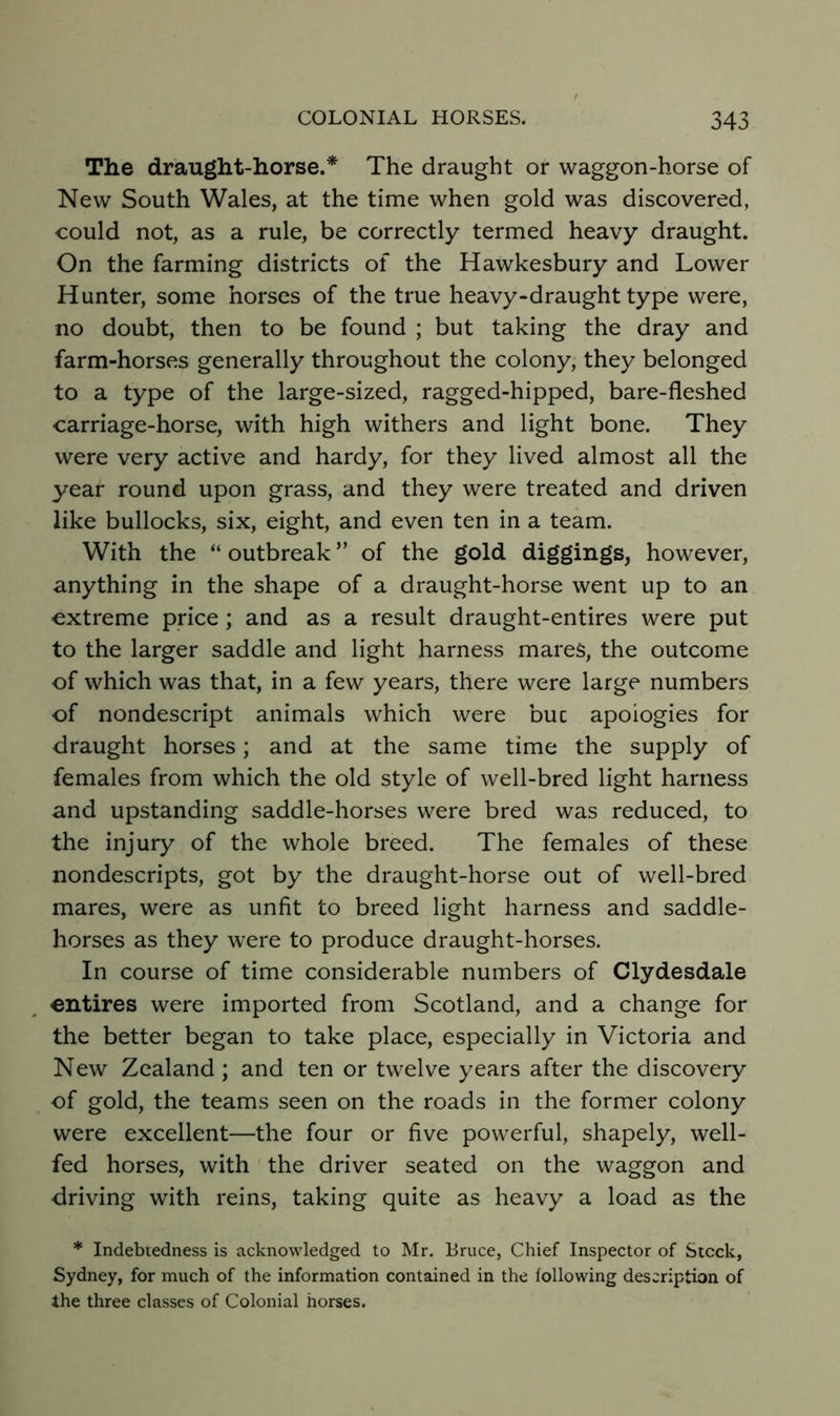 The draught-horse.* The draught or waggon-horse of New South Wales, at the time when gold was discovered, could not, as a rule, be correctly termed heavy draught. On the farming districts of the Hawkesbury and Lower Hunter, some horses of the true heavy-draught type were, no doubt, then to be found ; but taking the dray and farm-horses generally throughout the colony, they belonged to a type of the large-sized, ragged-hipped, bare-fleshed carriage-horse, with high withers and light bone. They were very active and hardy, for they lived almost all the year round upon grass, and they were treated and driven like bullocks, six, eight, and even ten in a team. With the “ outbreak ” of the gold diggings, however, anything in the shape of a draught-horse went up to an extreme price; and as a result draught-entires were put to the larger saddle and light harness mares, the outcome of which was that, in a few years, there were large numbers of nondescript animals which were buc apologies for draught horses; and at the same time the supply of females from which the old style of well-bred light harness and upstanding saddle-horses were bred was reduced, to the injury of the whole breed. The females of these nondescripts, got by the draught-horse out of well-bred mares, were as unfit to breed light harness and saddle- horses as they were to produce draught-horses. In course of time considerable numbers of Clydesdale entires were imported from Scotland, and a change for the better began to take place, especially in Victoria and New Zealand ; and ten or twelve years after the discovery of gold, the teams seen on the roads in the former colony were excellent—the four or five powerful, shapely, well- fed horses, with the driver seated on the waggon and driving with reins, taking quite as heavy a load as the * Indebtedness is acknowledged to Mr. Bruce, Chief Inspector of Stock, Sydney, for much of the information contained in the following description of the three classes of Colonial horses.