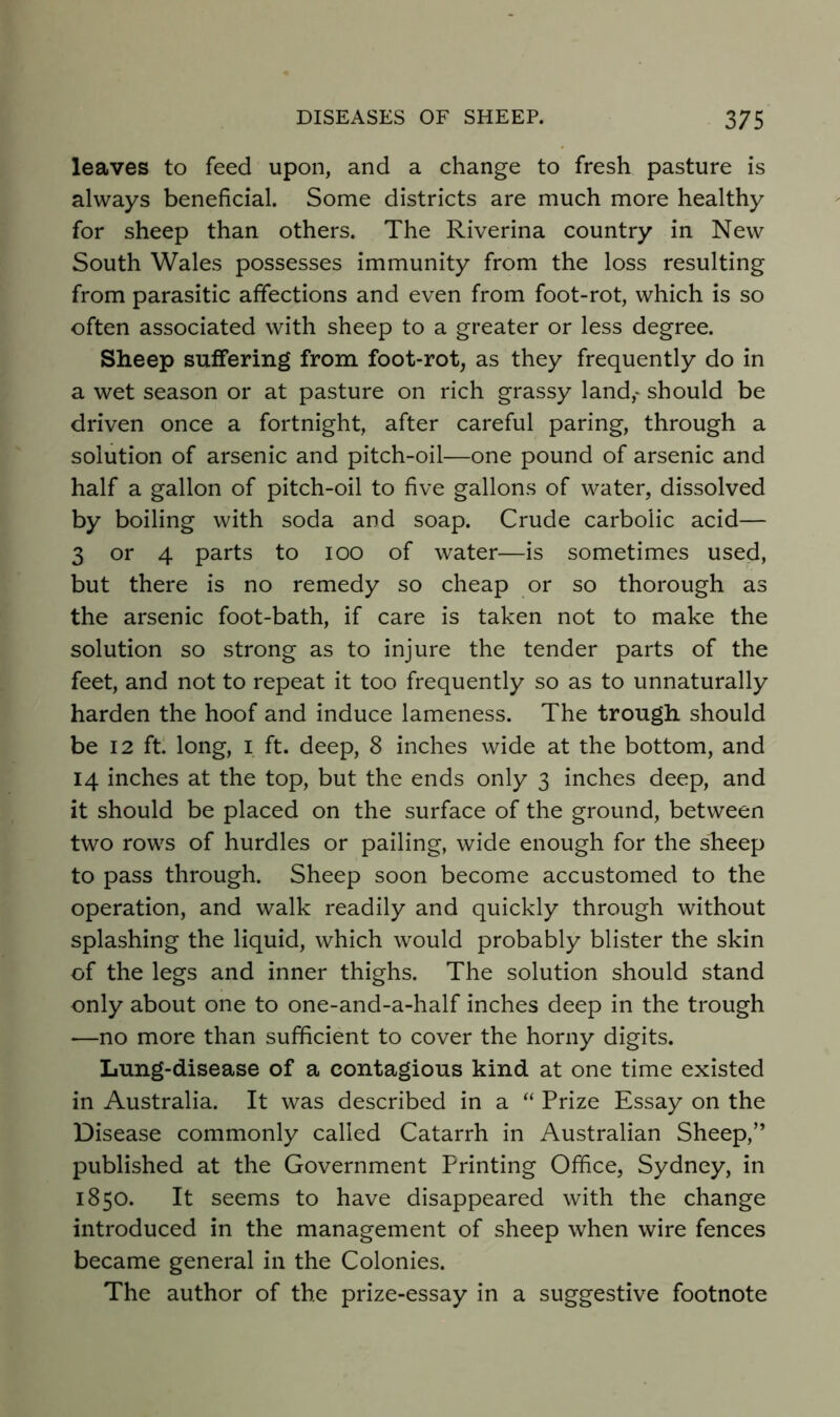 leaves to feed upon, and a change to fresh pasture is always beneficial. Some districts are much more healthy for sheep than others. The Riverina country in New South Wales possesses immunity from the loss resulting from parasitic affections and even from foot-rot, which is so often associated with sheep to a greater or less degree. Sheep suffering from foot-rot, as they frequently do in a wet season or at pasture on rich grassy land,- should be driven once a fortnight, after careful paring, through a solution of arsenic and pitch-oil—one pound of arsenic and half a gallon of pitch-oil to five gallons of water, dissolved by boiling with soda and soap. Crude carbolic acid— 3 or 4 parts to lOO of water—is sometimes used, but there is no remedy so cheap or so thorough as the arsenic foot-bath, if care is taken not to make the solution so strong as to injure the tender parts of the feet, and not to repeat it too frequently so as to unnaturally harden the hoof and induce lameness. The trough should be 12 ft. long, I ft. deep, 8 inches wide at the bottom, and 14 inches at the top, but the ends only 3 inches deep, and it should be placed on the surface of the ground, between two rows of hurdles or palling, wide enough for the sheep to pass through. Sheep soon become accustomed to the operation, and walk readily and quickly through without splashing the liquid, which would probably blister the skin of the legs and inner thighs. The solution should stand only about one to one-and-a-half inches deep in the trough —no more than sufficient to cover the horny digits. Lung-disease of a contagious kind at one time existed in Australia. It was described in a “ Prize Essay on the Disease commonly called Catarrh in Australian Sheep,” published at the Government Printing Office, Sydney, in 1850. It seems to have disappeared with the change introduced in the management of sheep when wire fences became general in the Colonies. The author of the prize-essay in a suggestive footnote