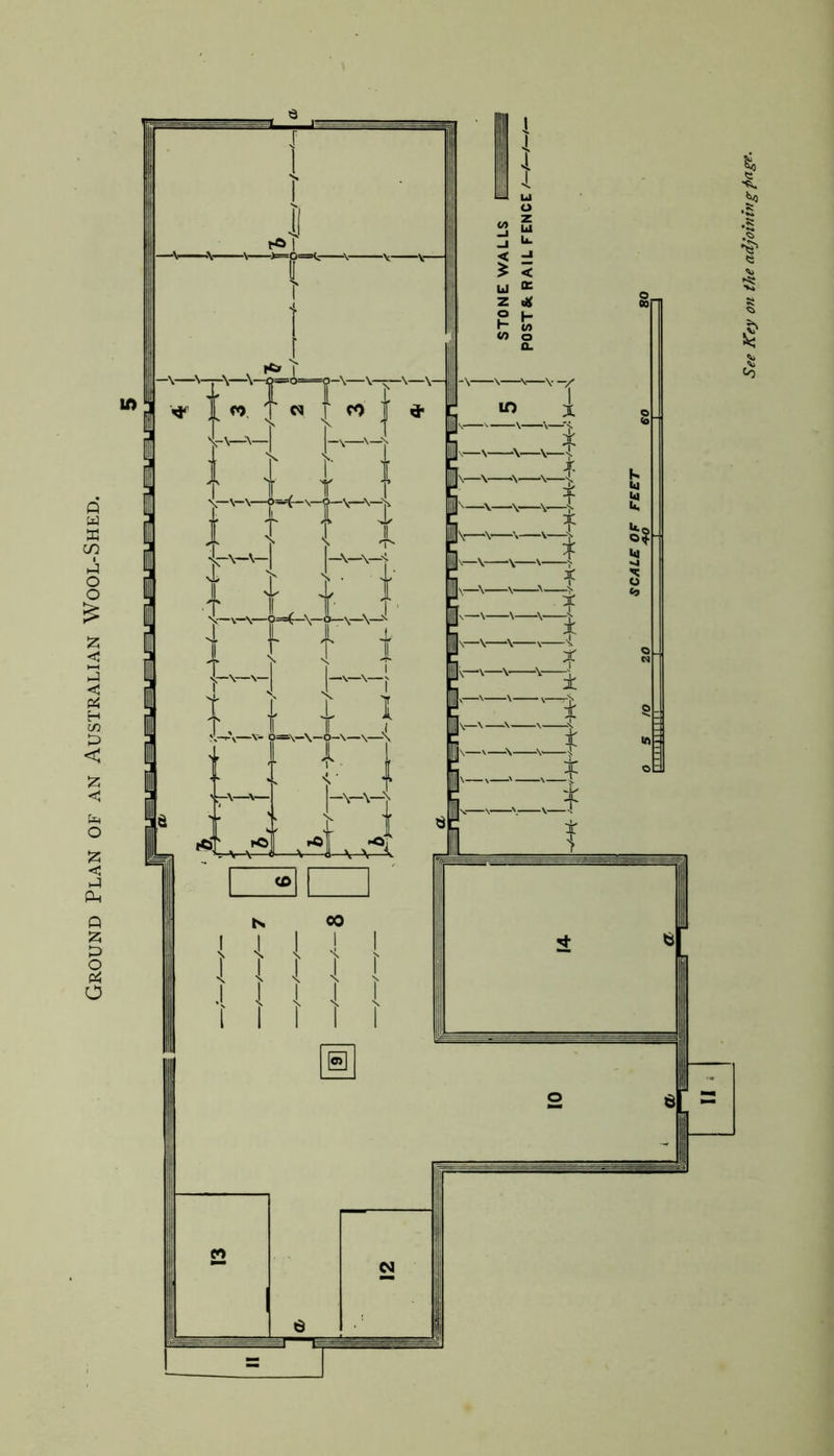 Ground Plan of an Australian Wool-Shed. See Key on the adjoining page.